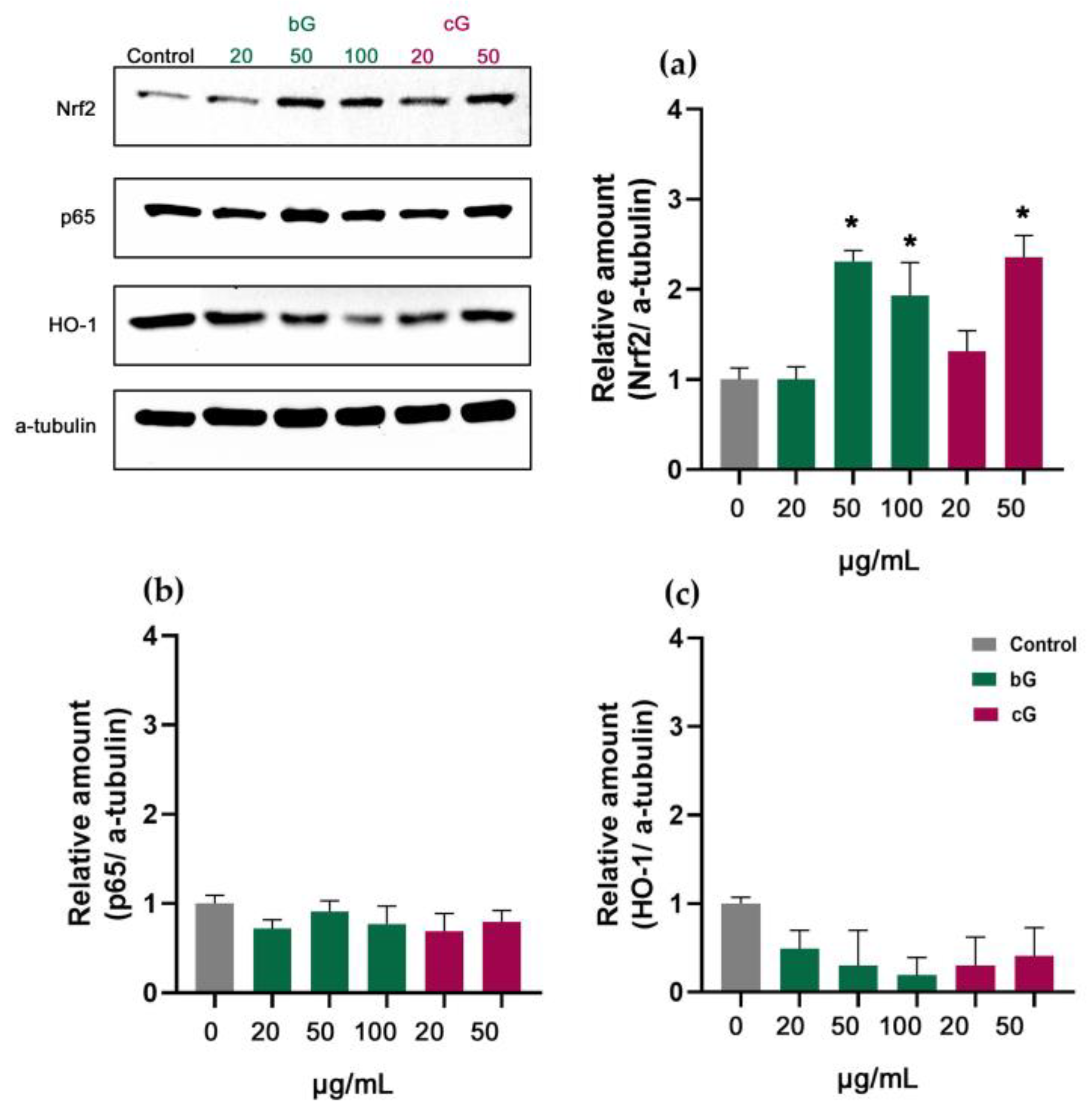 Pharmaceutics 15 00993 g009