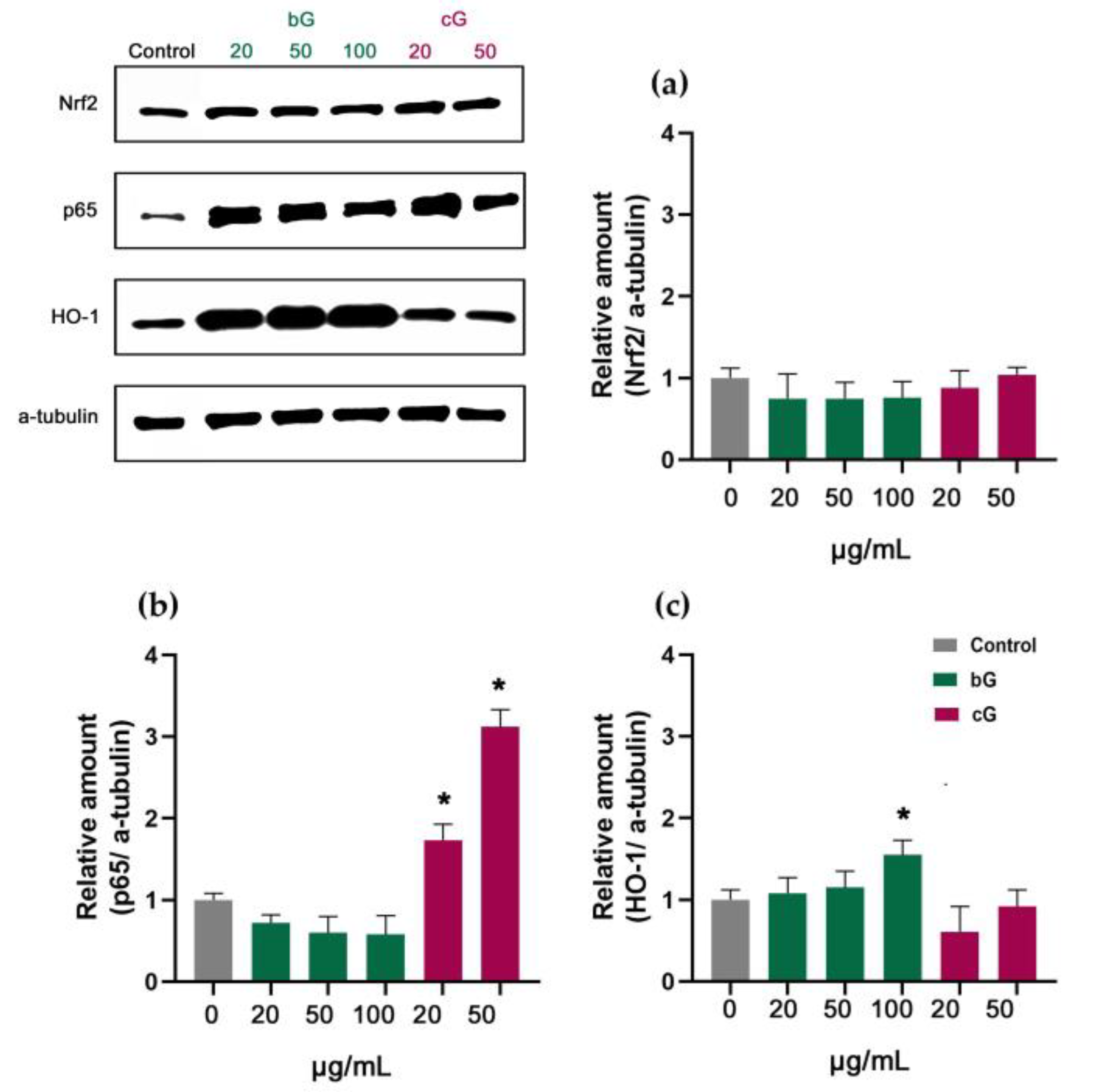 Pharmaceutics 15 00993 g010