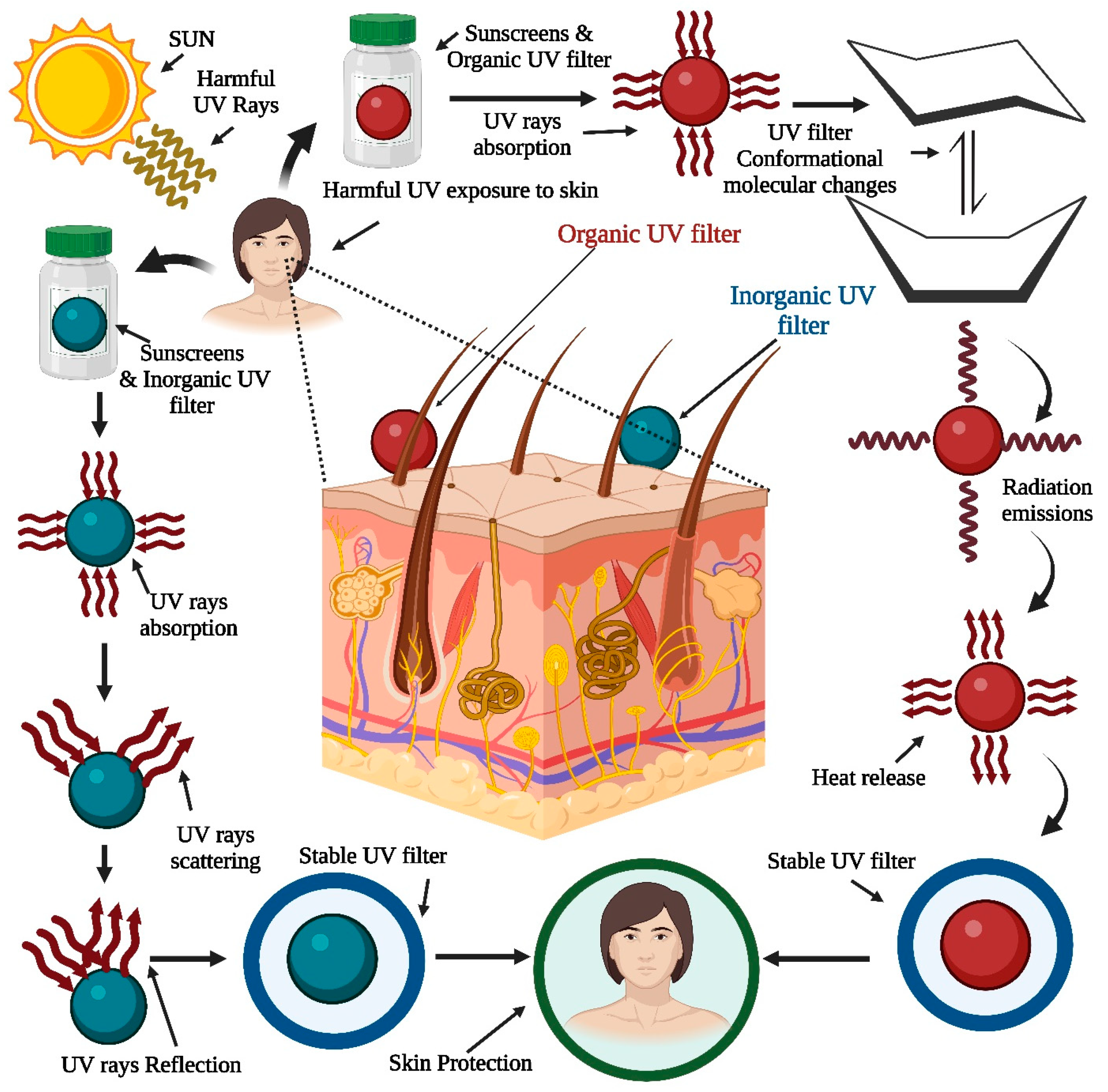 Pharmaceutics, Free Full-Text