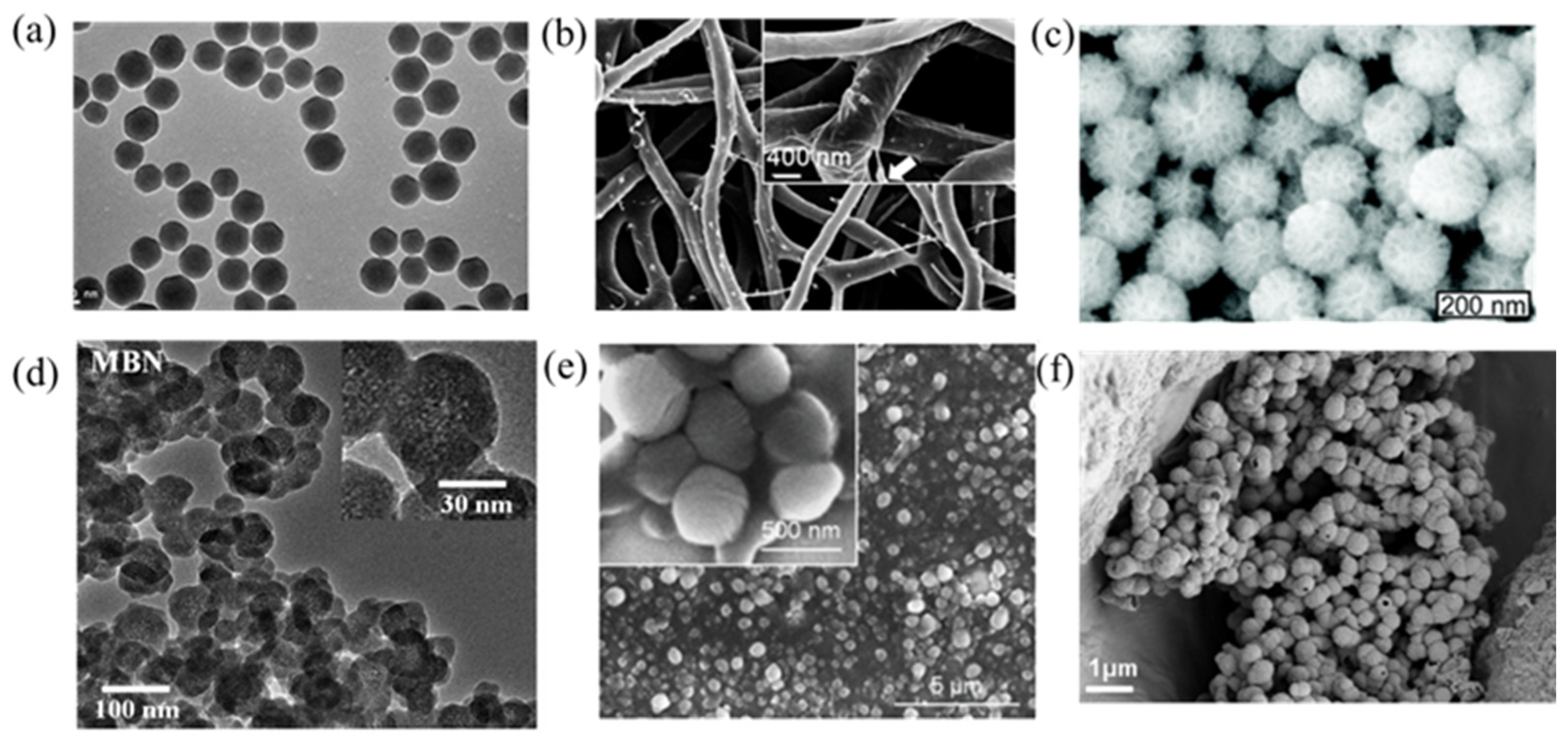 Pharmaceutics 15 01017 g002