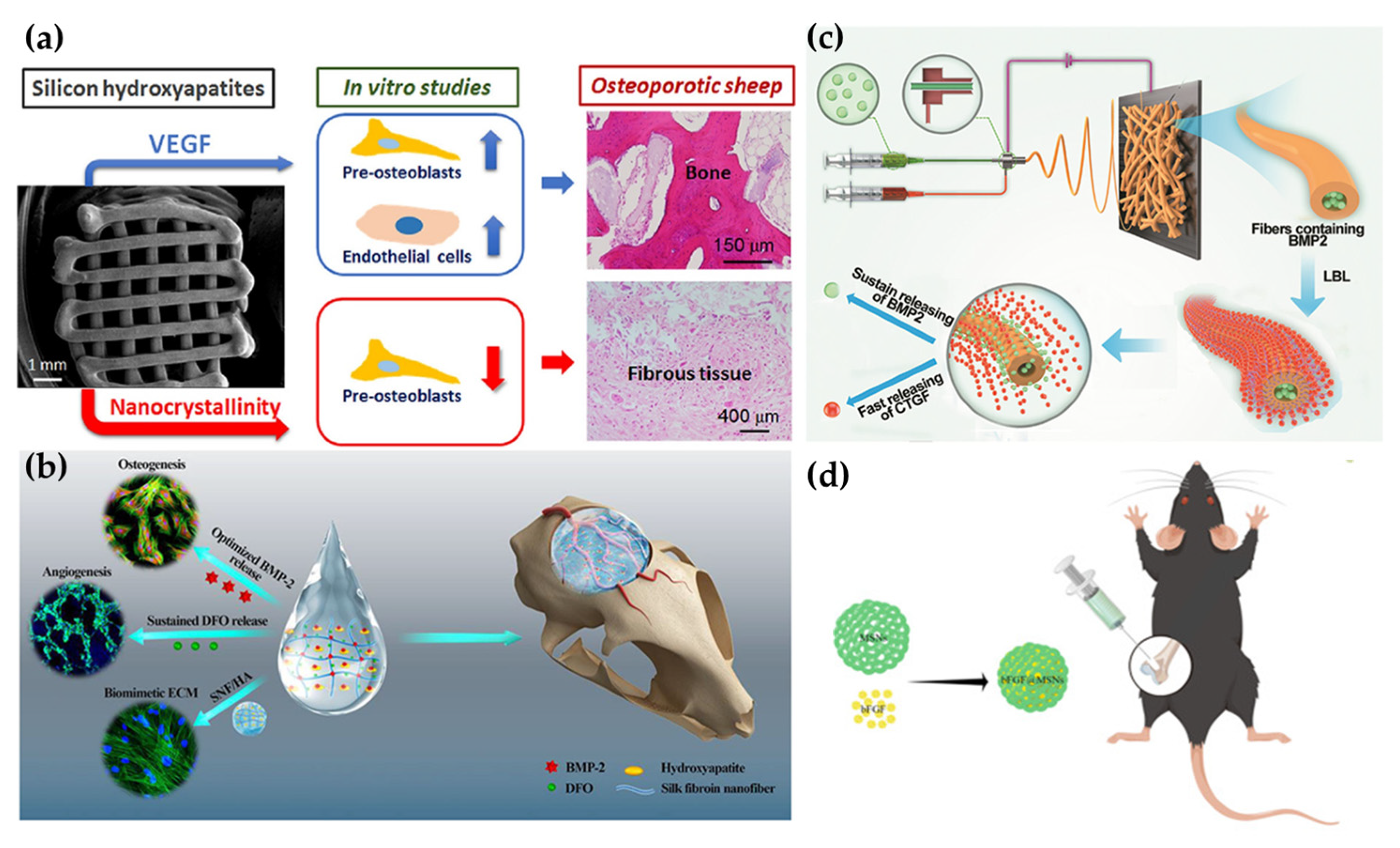 Pharmaceutics 15 01017 g003