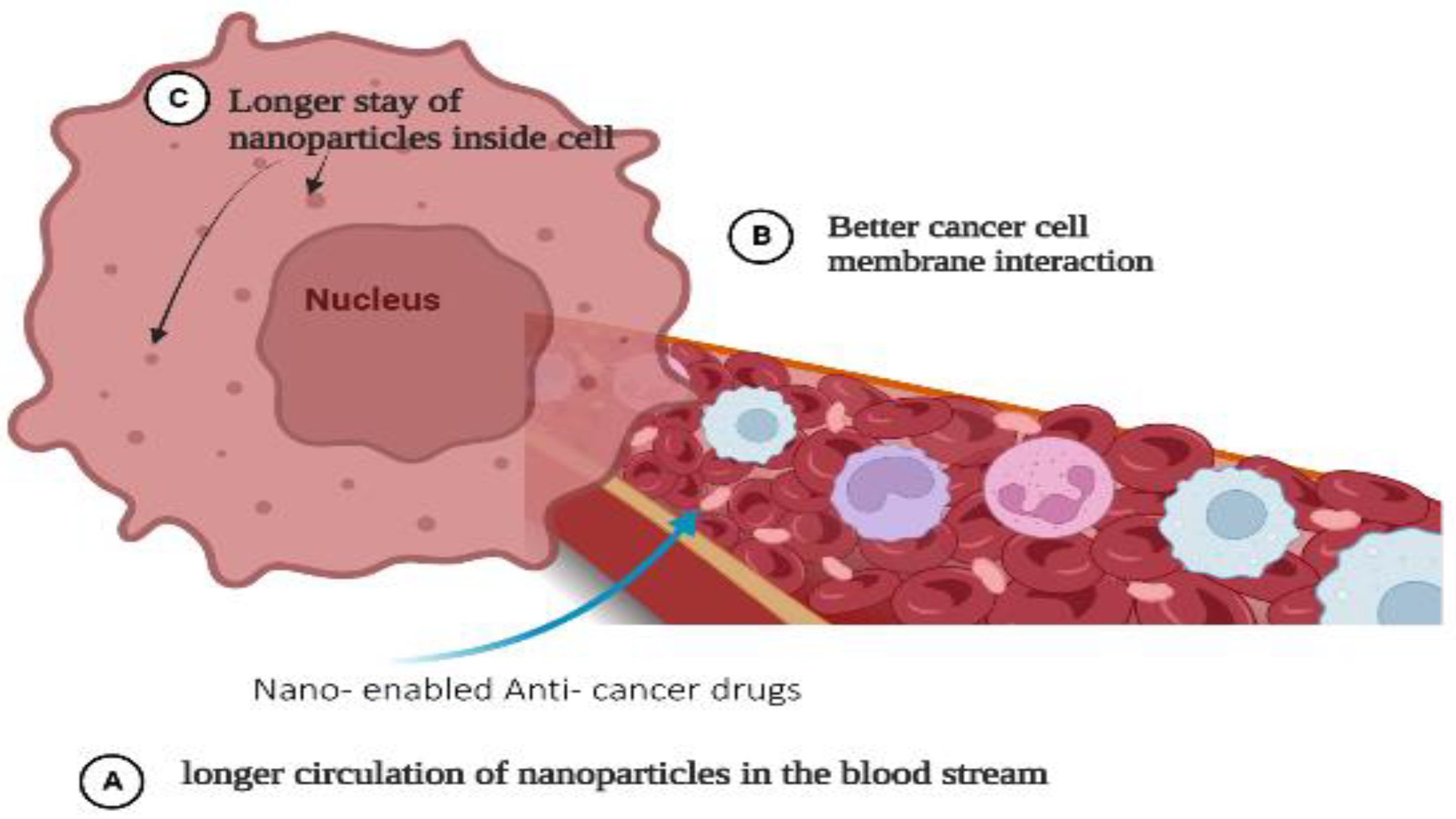 Pharmaceutics | Free Full-Text | Nanotechnology In Cancer Diagnosis And ...