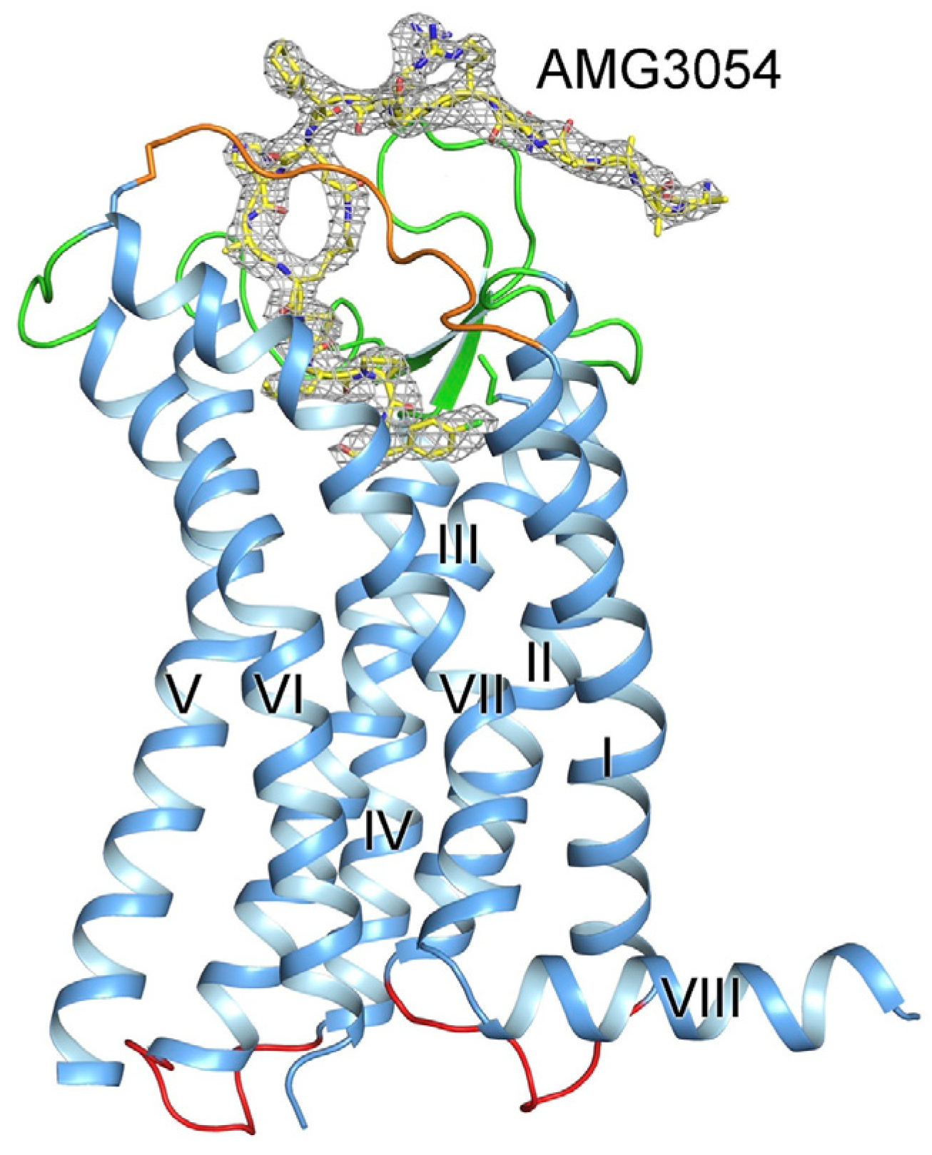 Pharmaceutics 15 01029 g001