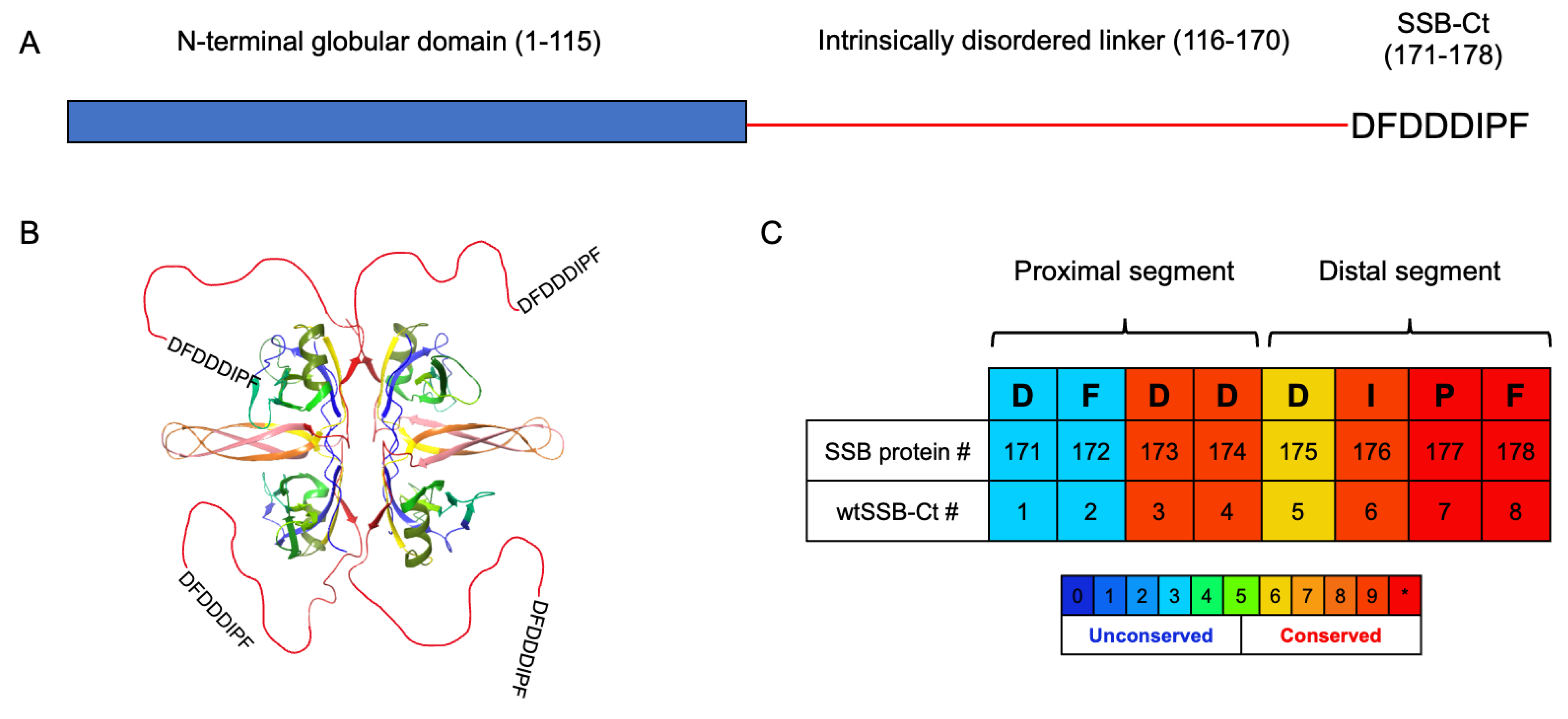 Pharmaceutics | Free Full-Text | Structural Adaptation of the Single