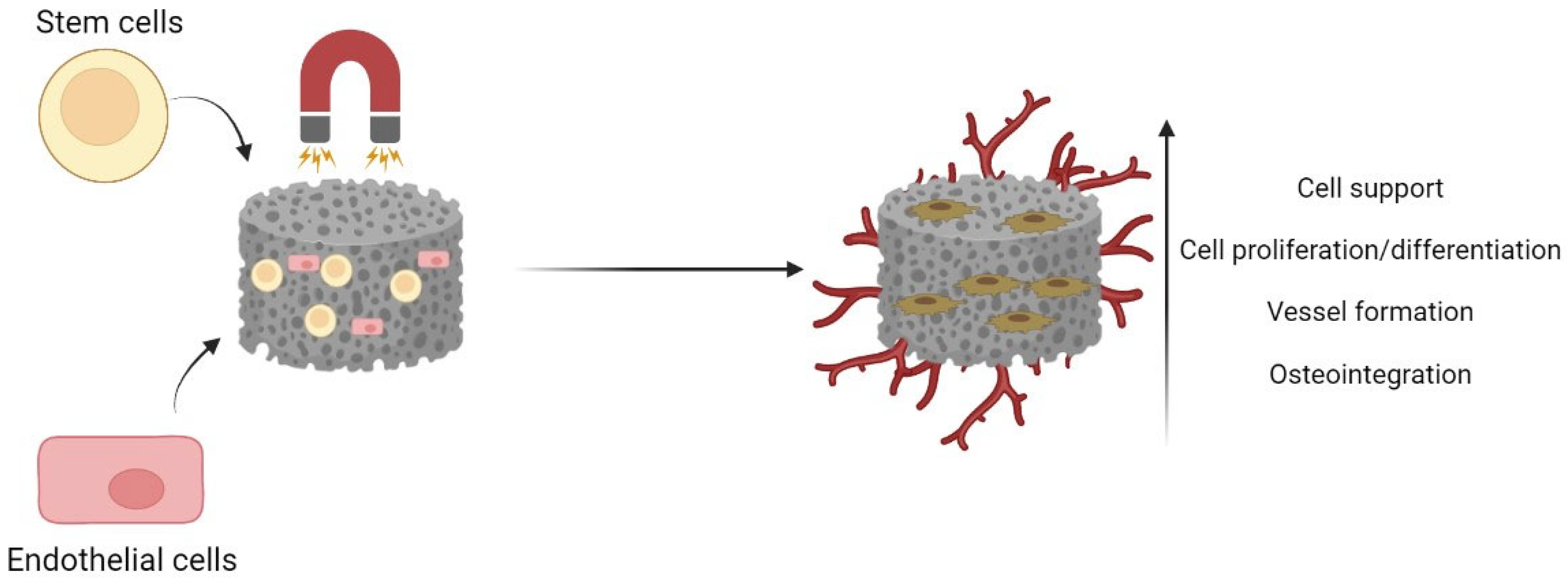Pharmaceutics 15 01045 g003 Pharmaceutics 15 01045 g003