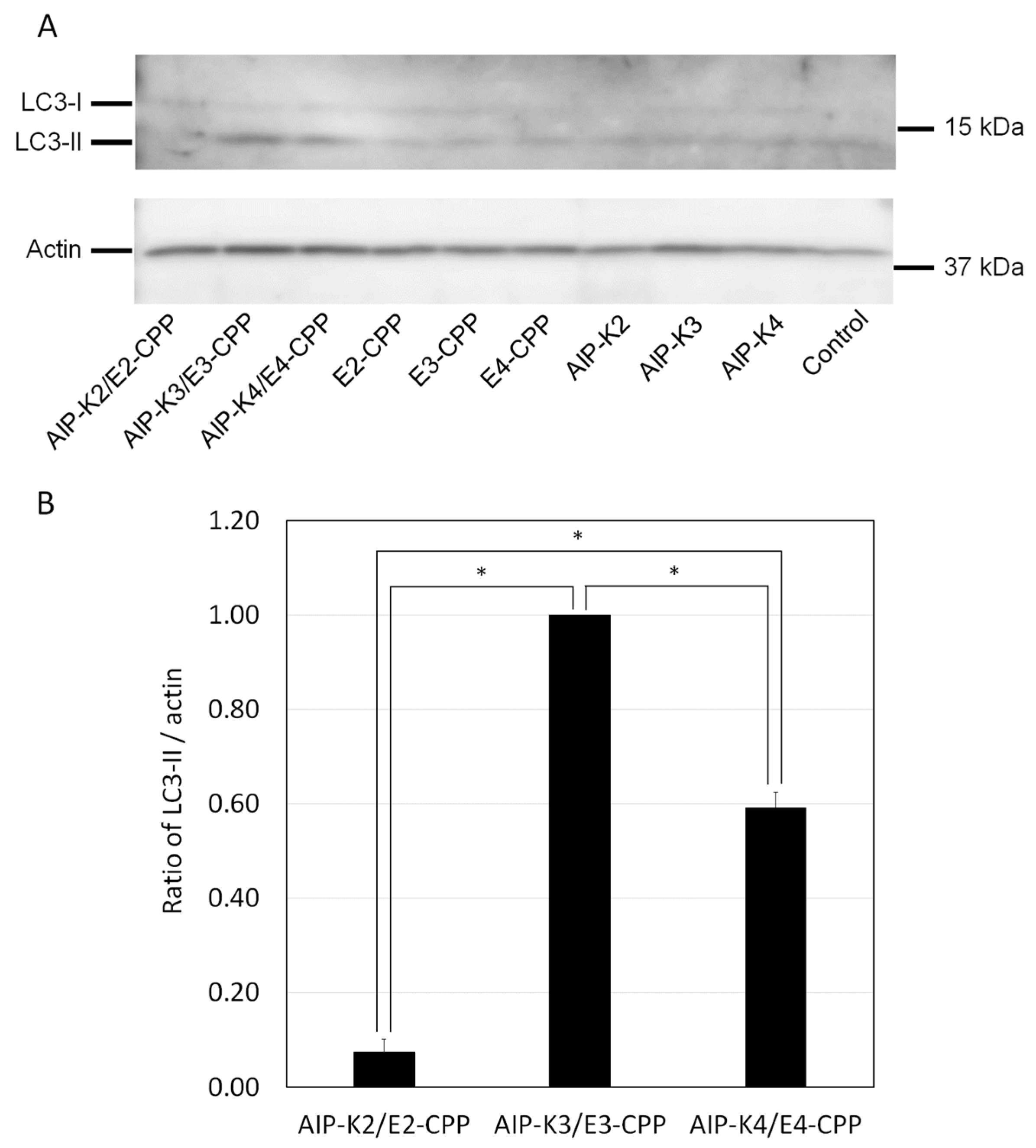 Pharmaceutics 15 01048 g004
