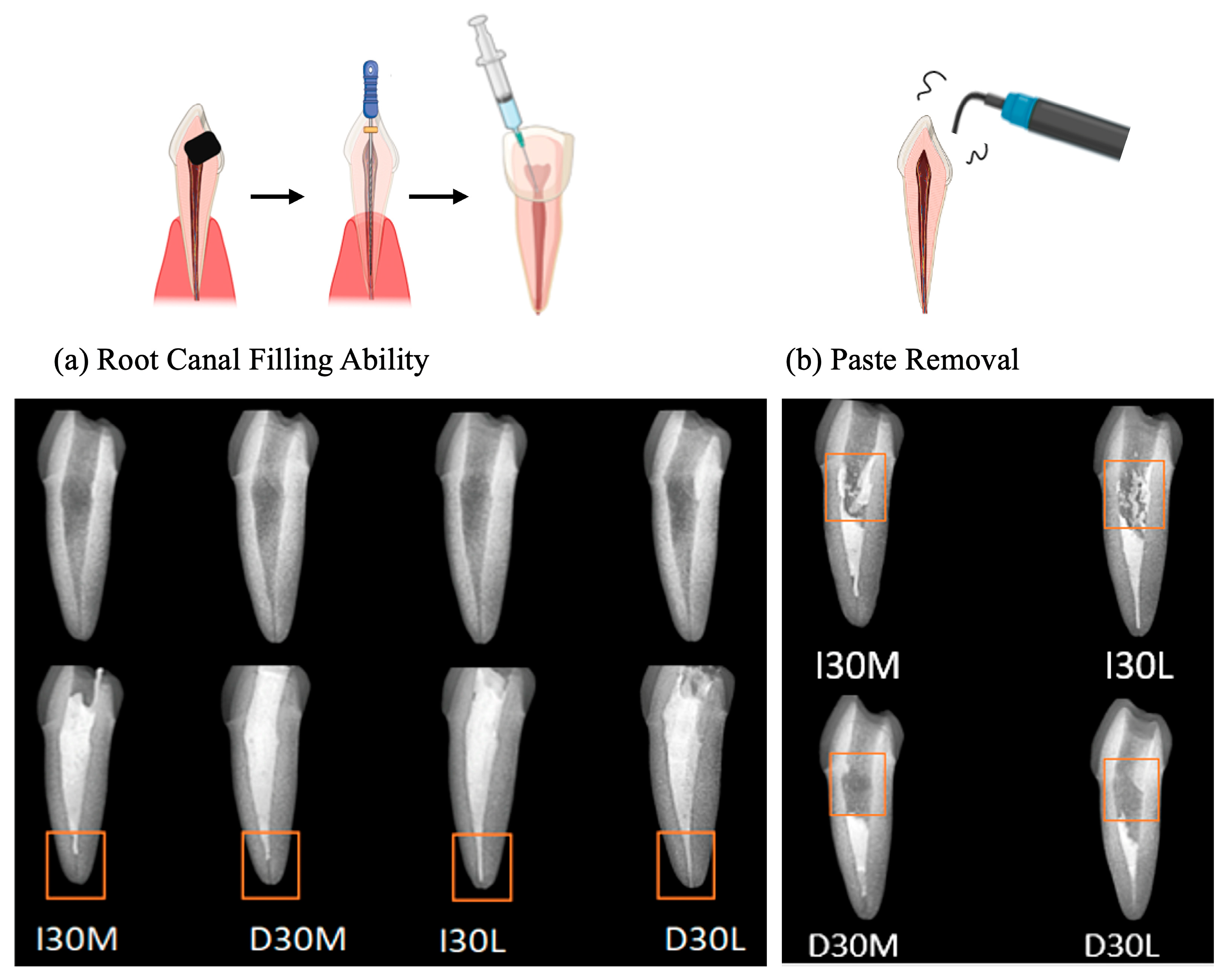 Pharmaceutics 15 01072 g003 Pharmaceutics 15 01072 g003
