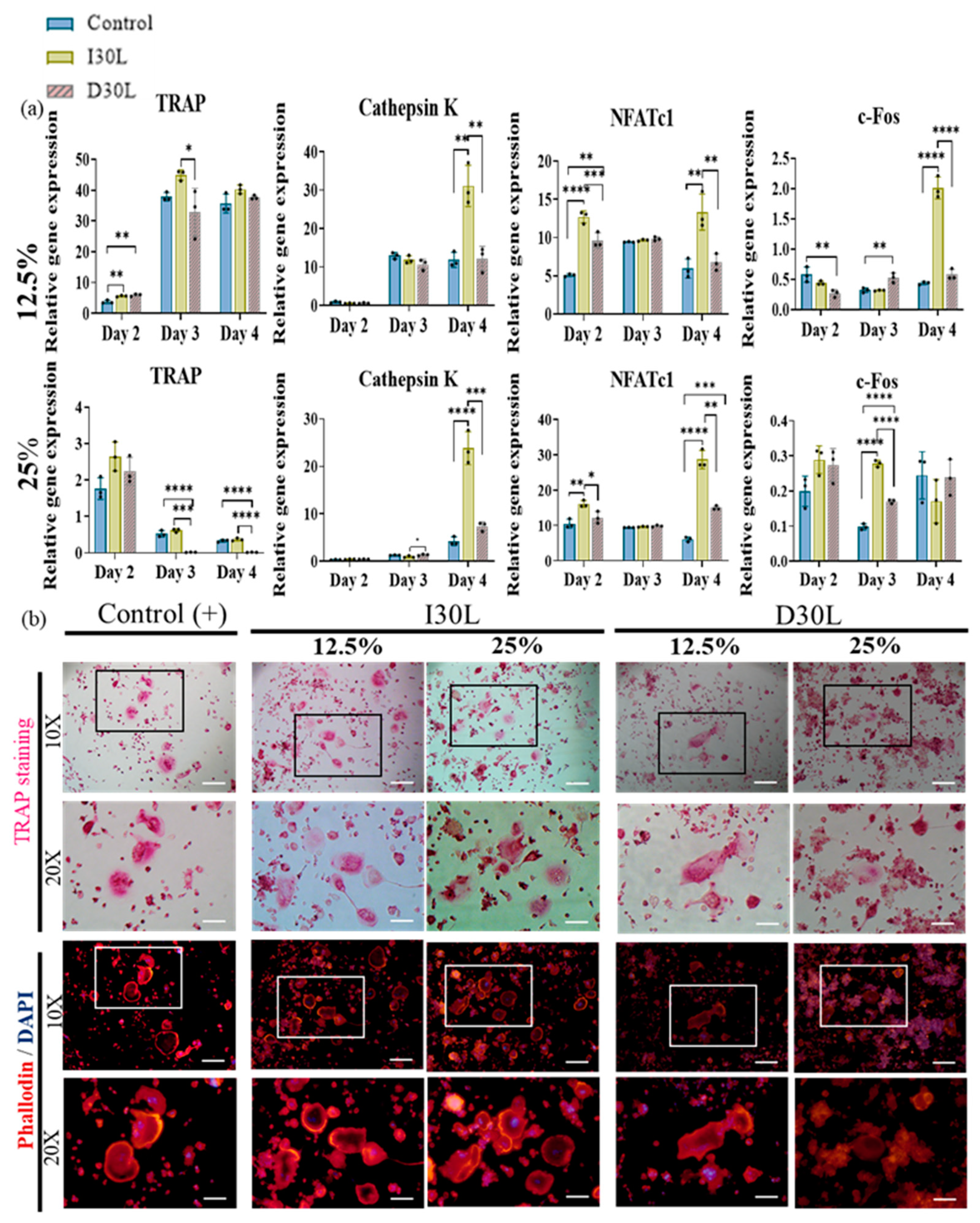 Pharmaceutics 15 01072 g005 Pharmaceutics 15 01072 g005
