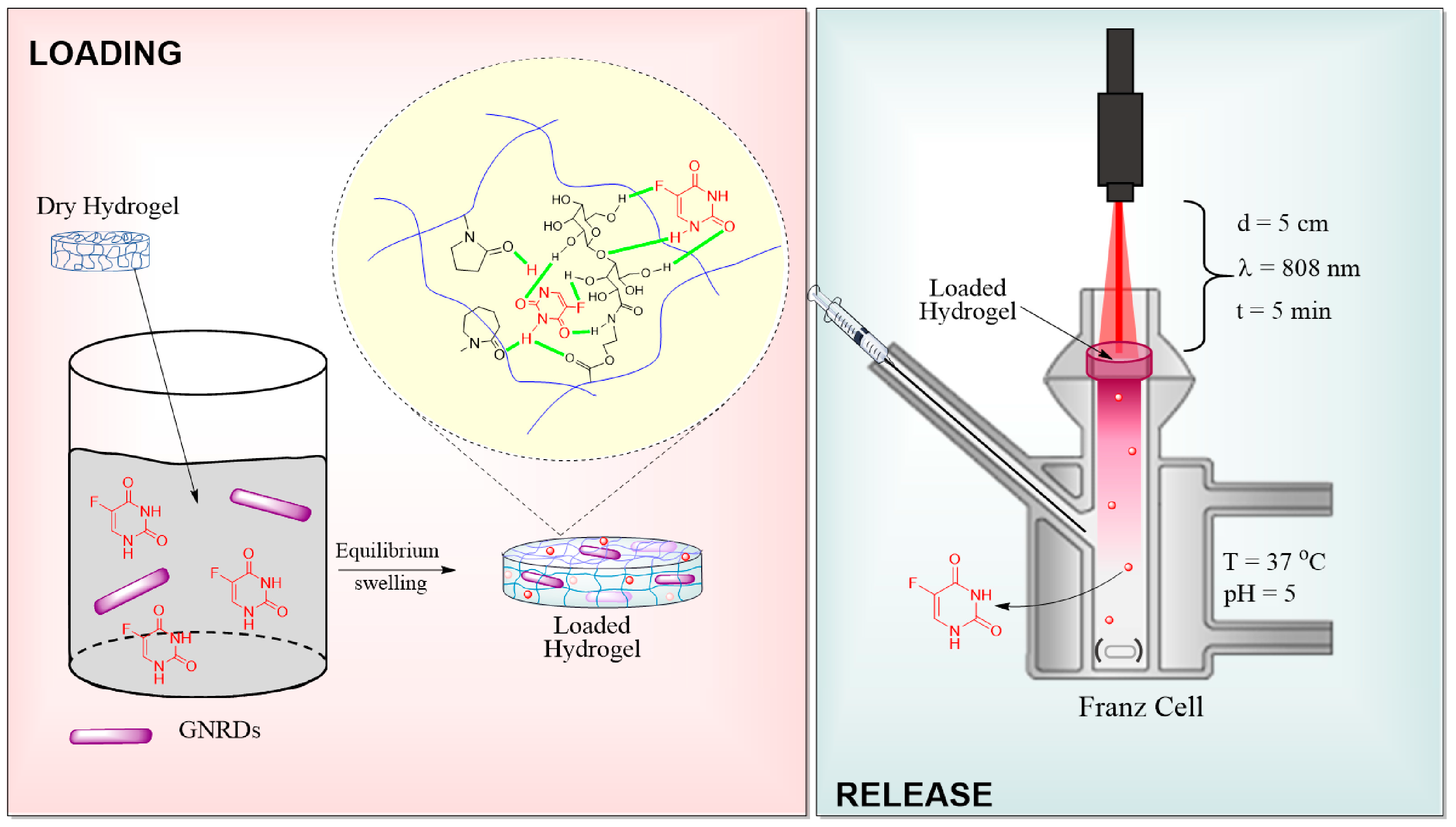 Pharmaceutics 15 01097 g008