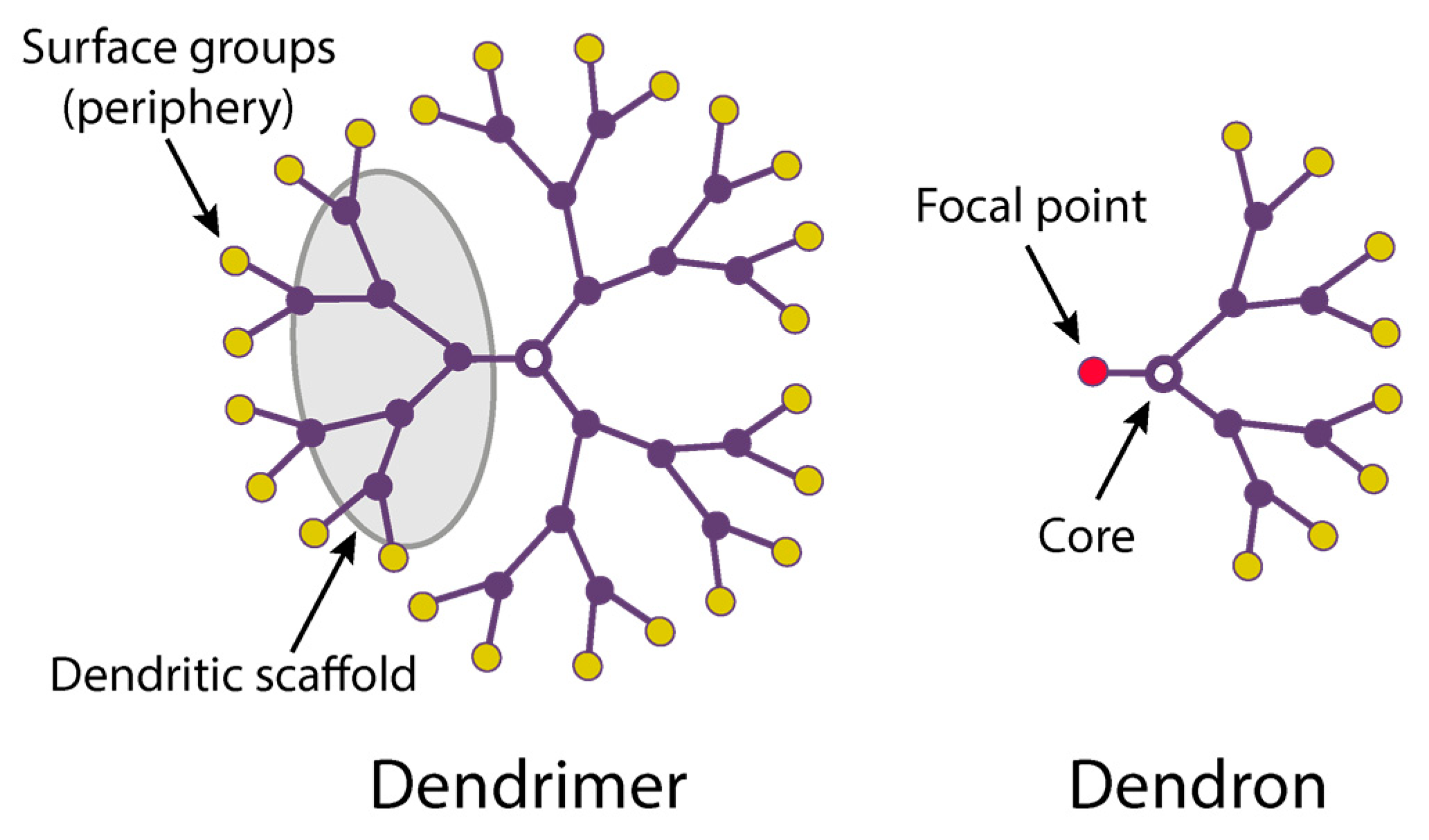 Pharmaceutics 15 01106 g001