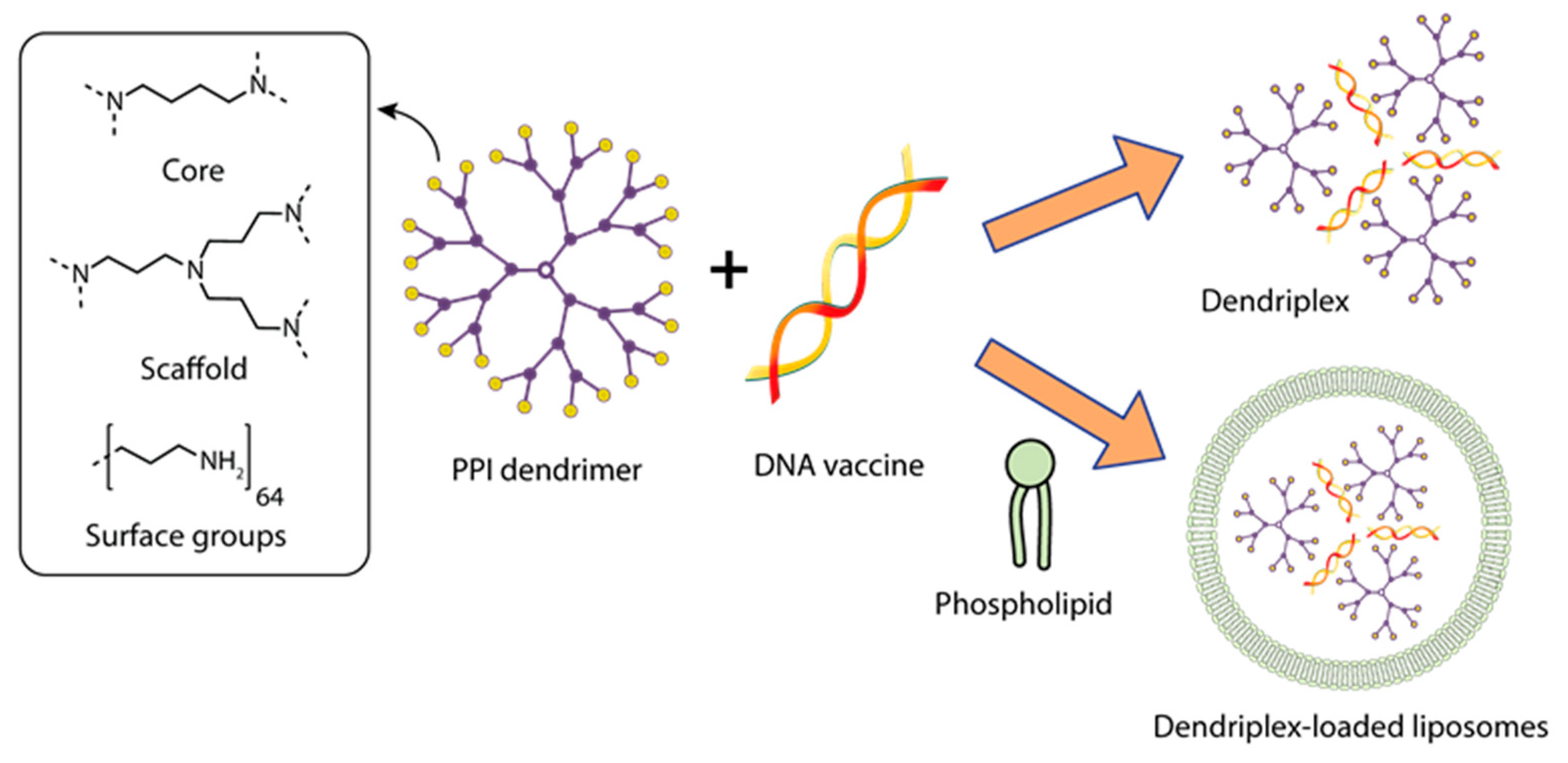 Pharmaceutics 15 01106 g005
