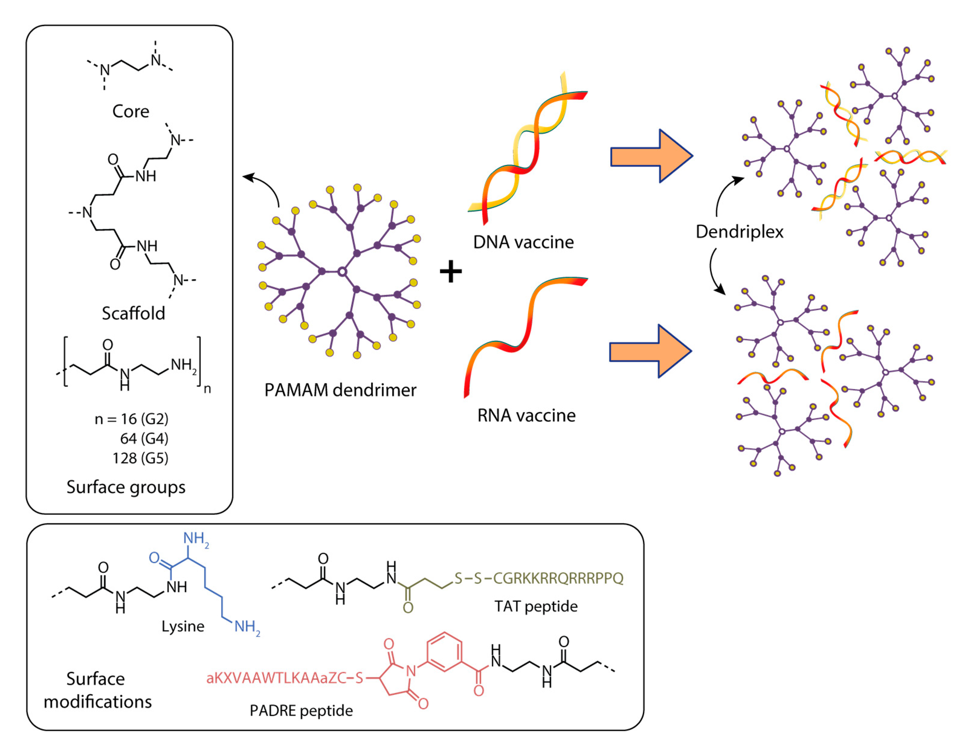 Pharmaceutics 15 01106 g006
