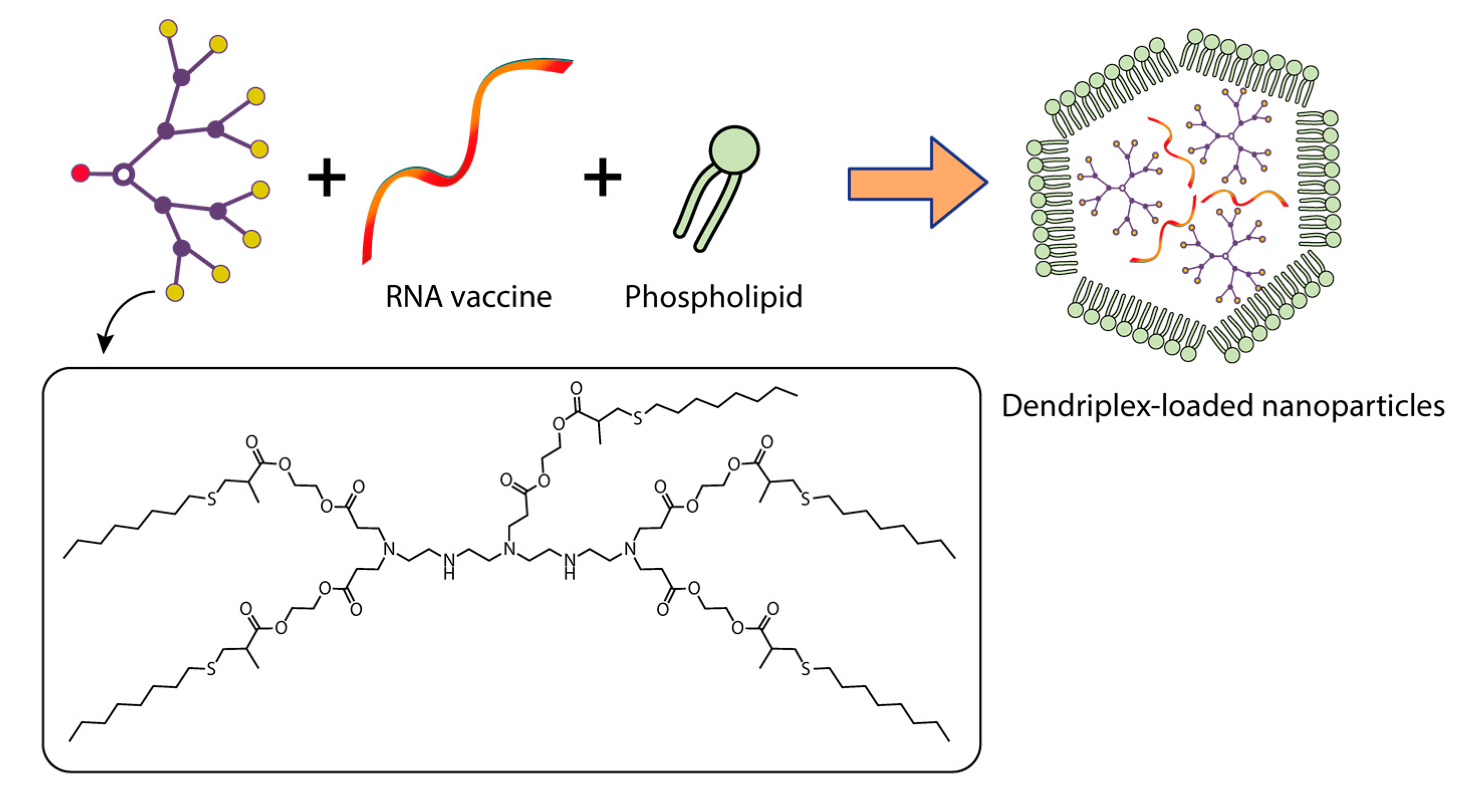 Pharmaceutics 15 01106 g009