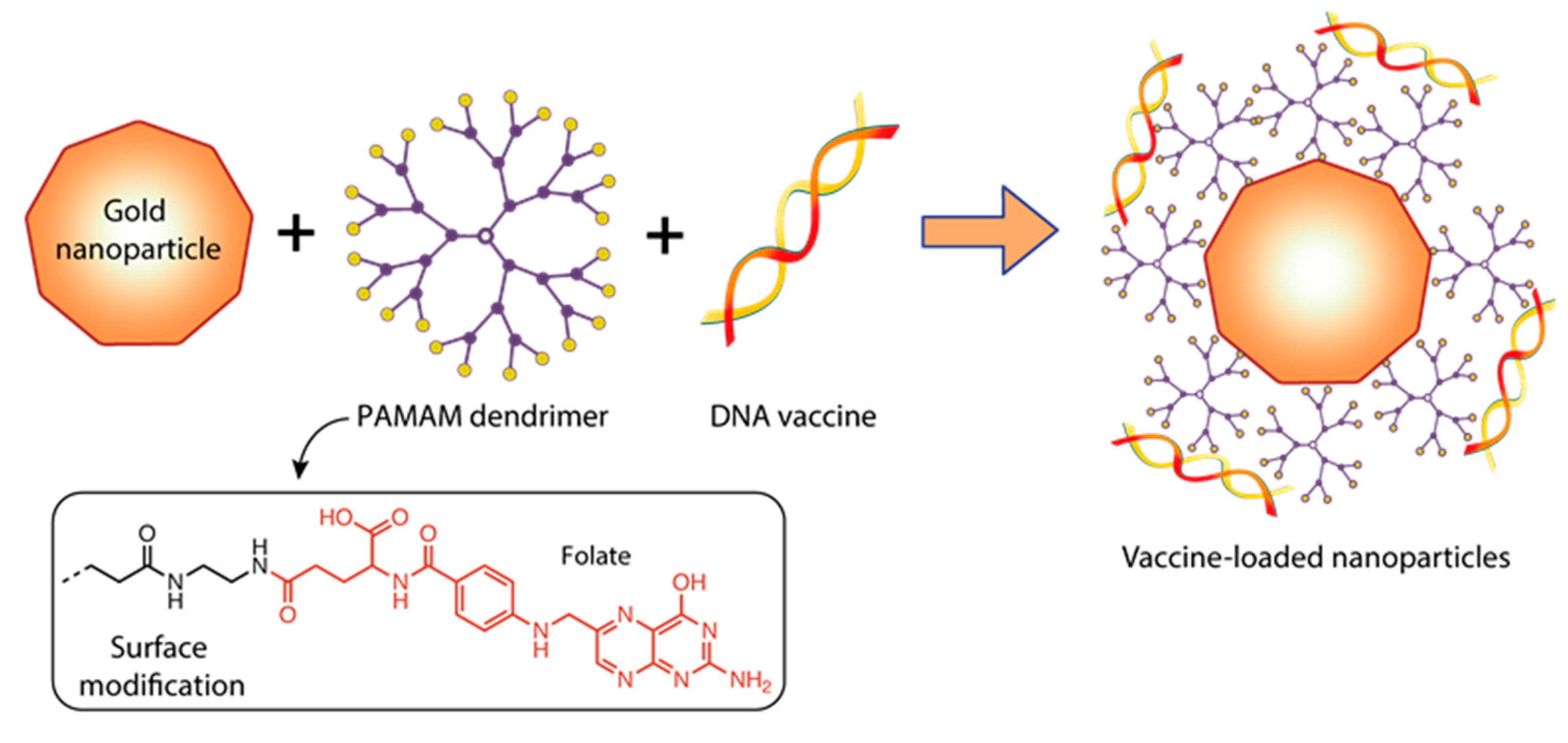 Pharmaceutics 15 01106 g010