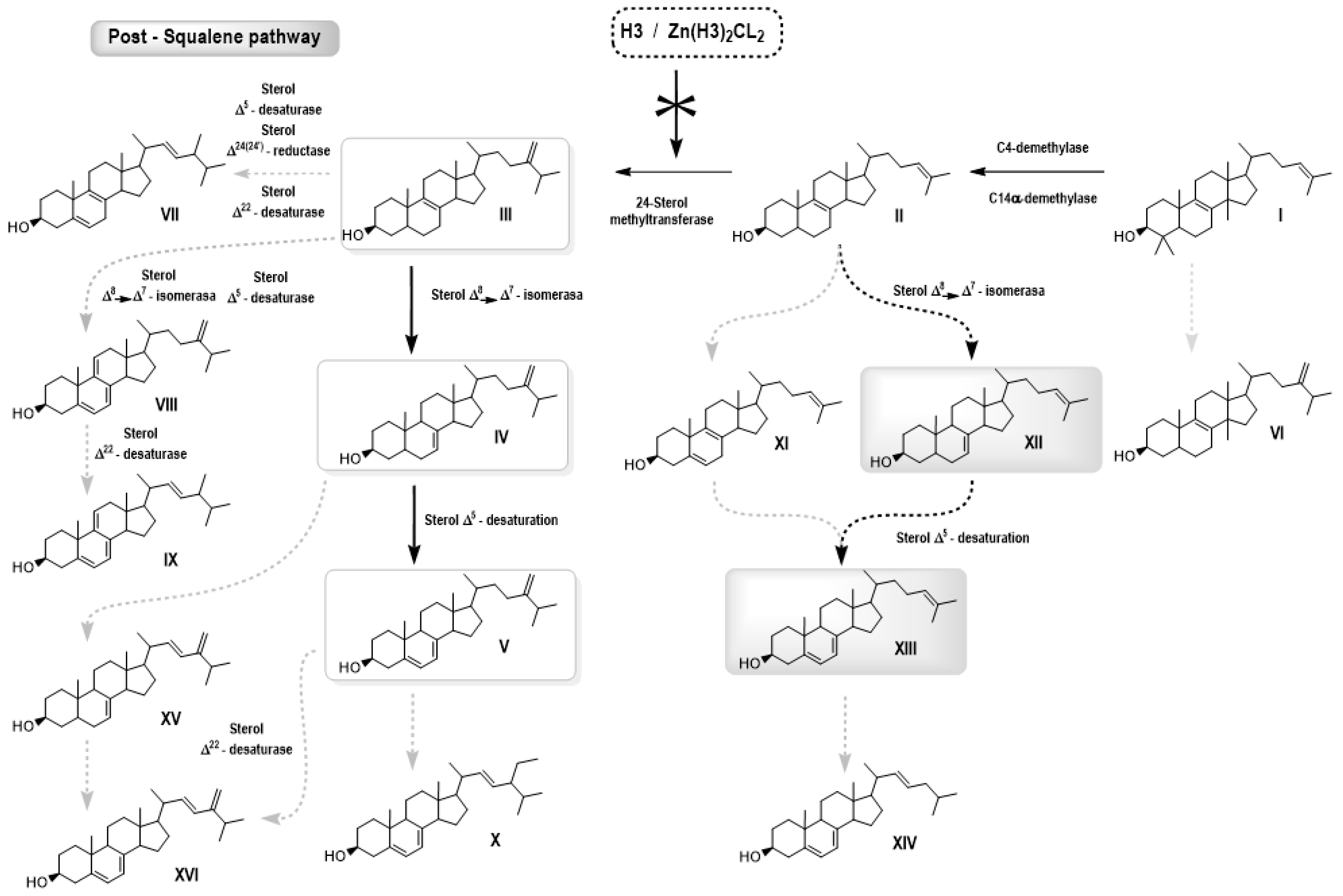 Pharmaceutics 15 01113 g009
