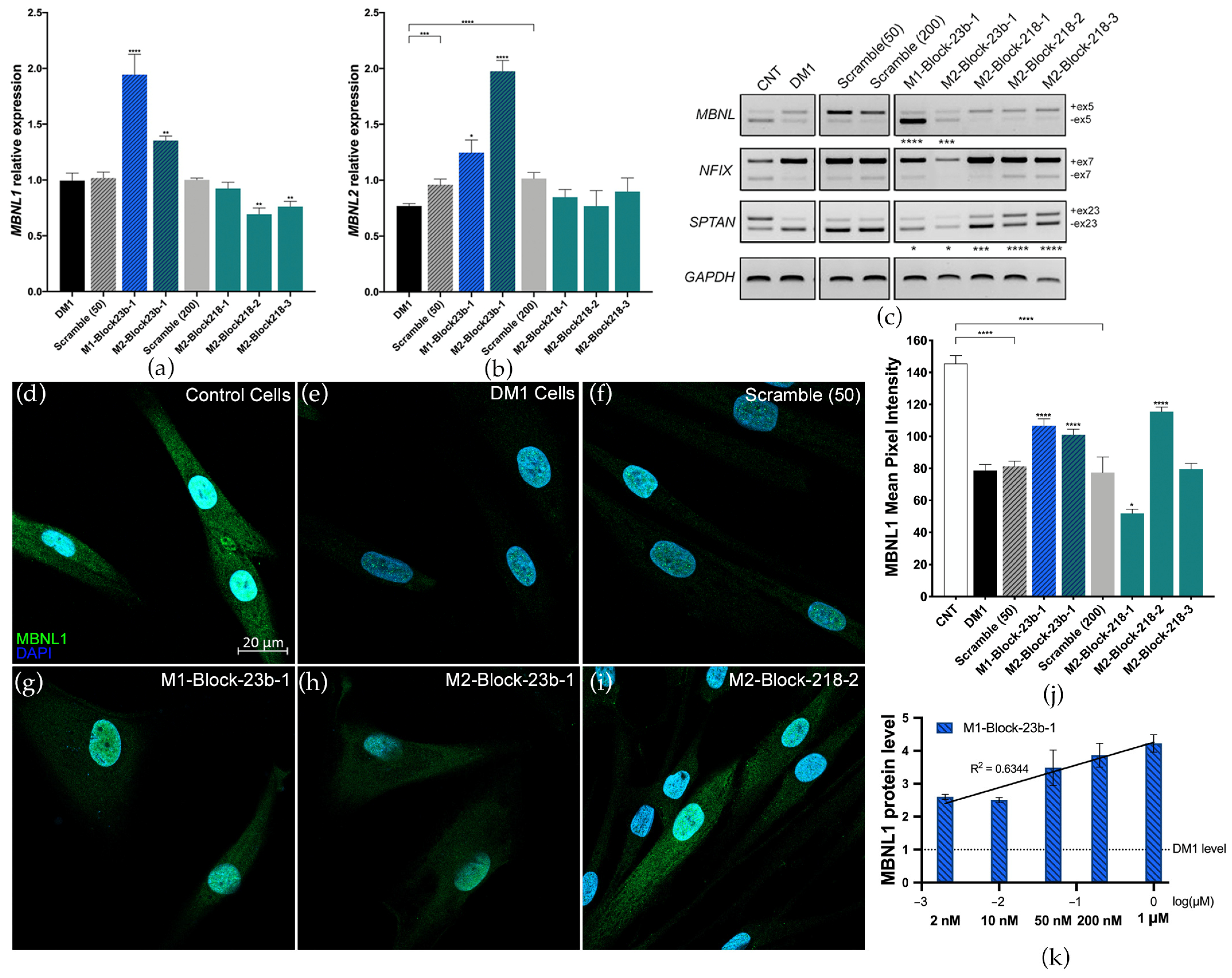 Pharmaceutics 15 01118 g002