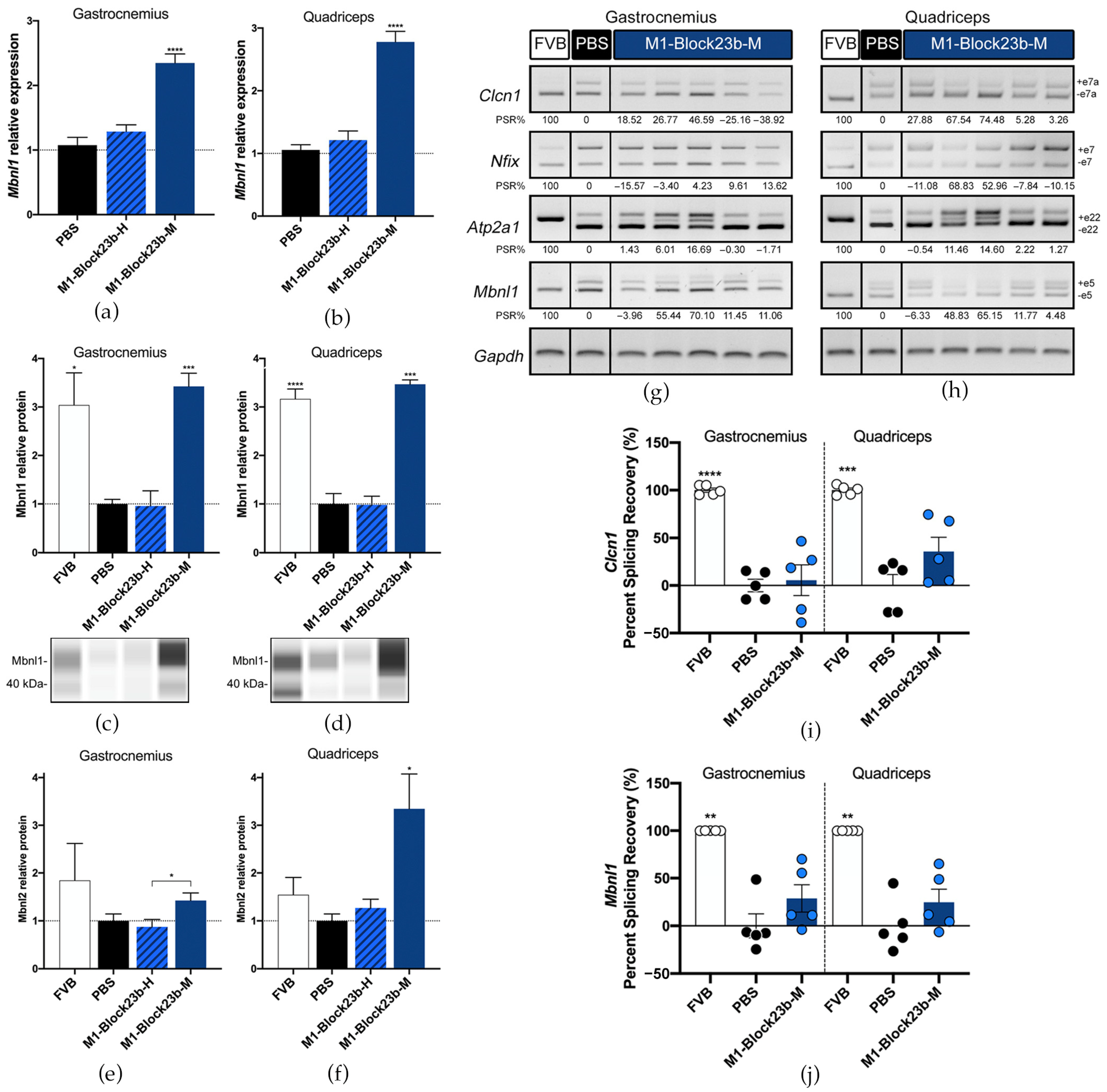 Pharmaceutics 15 01118 g006