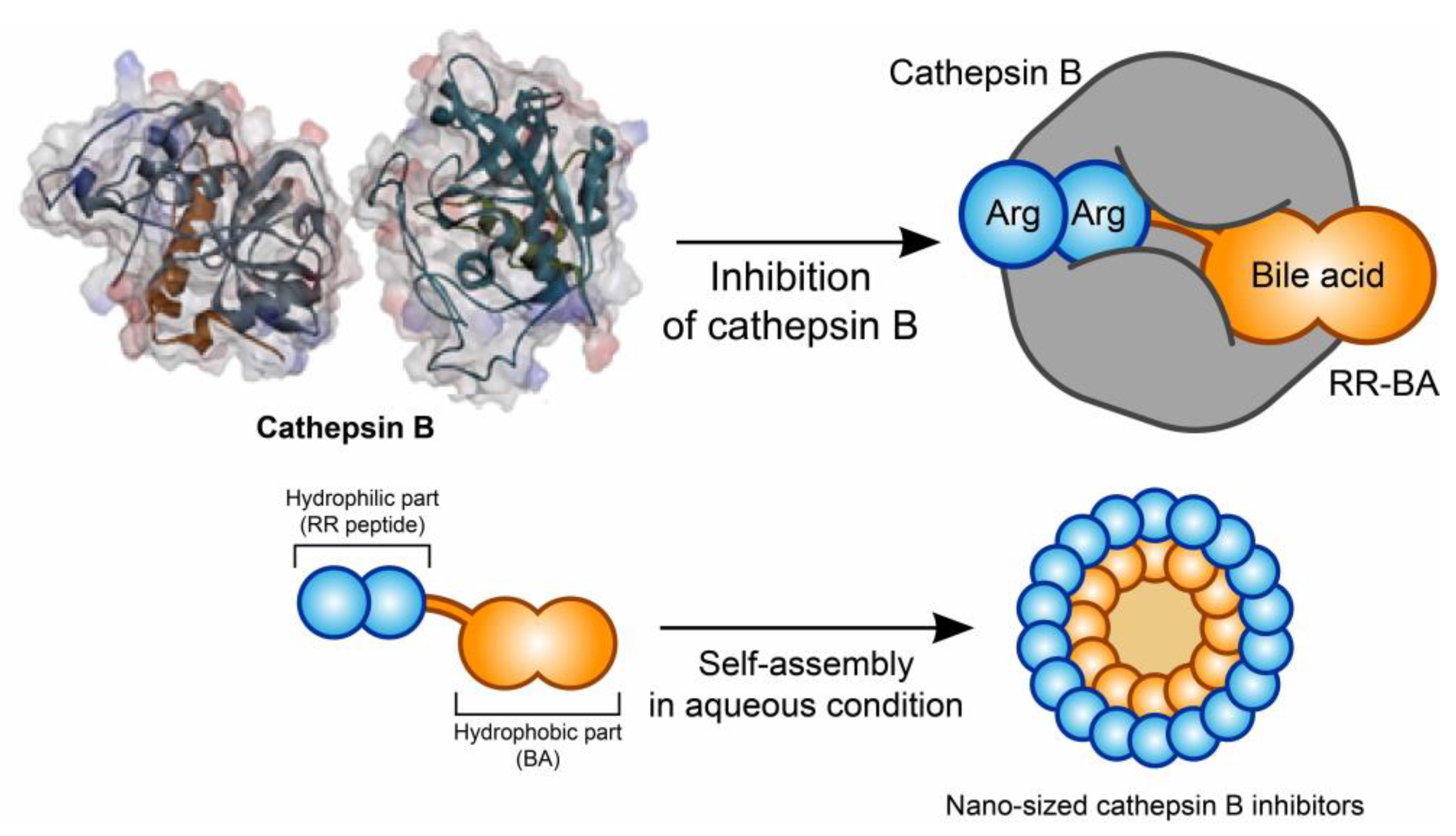 Pharmaceutics 15 01131 g001