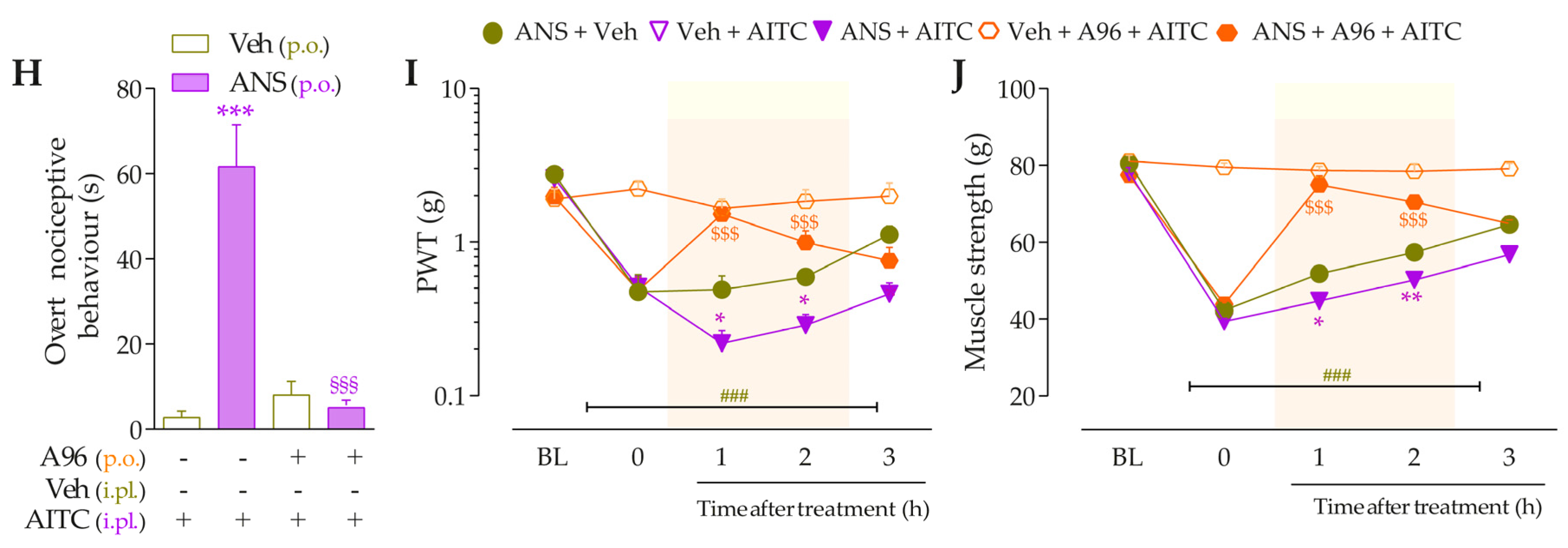 Pharmaceutics 15 01136 g003b