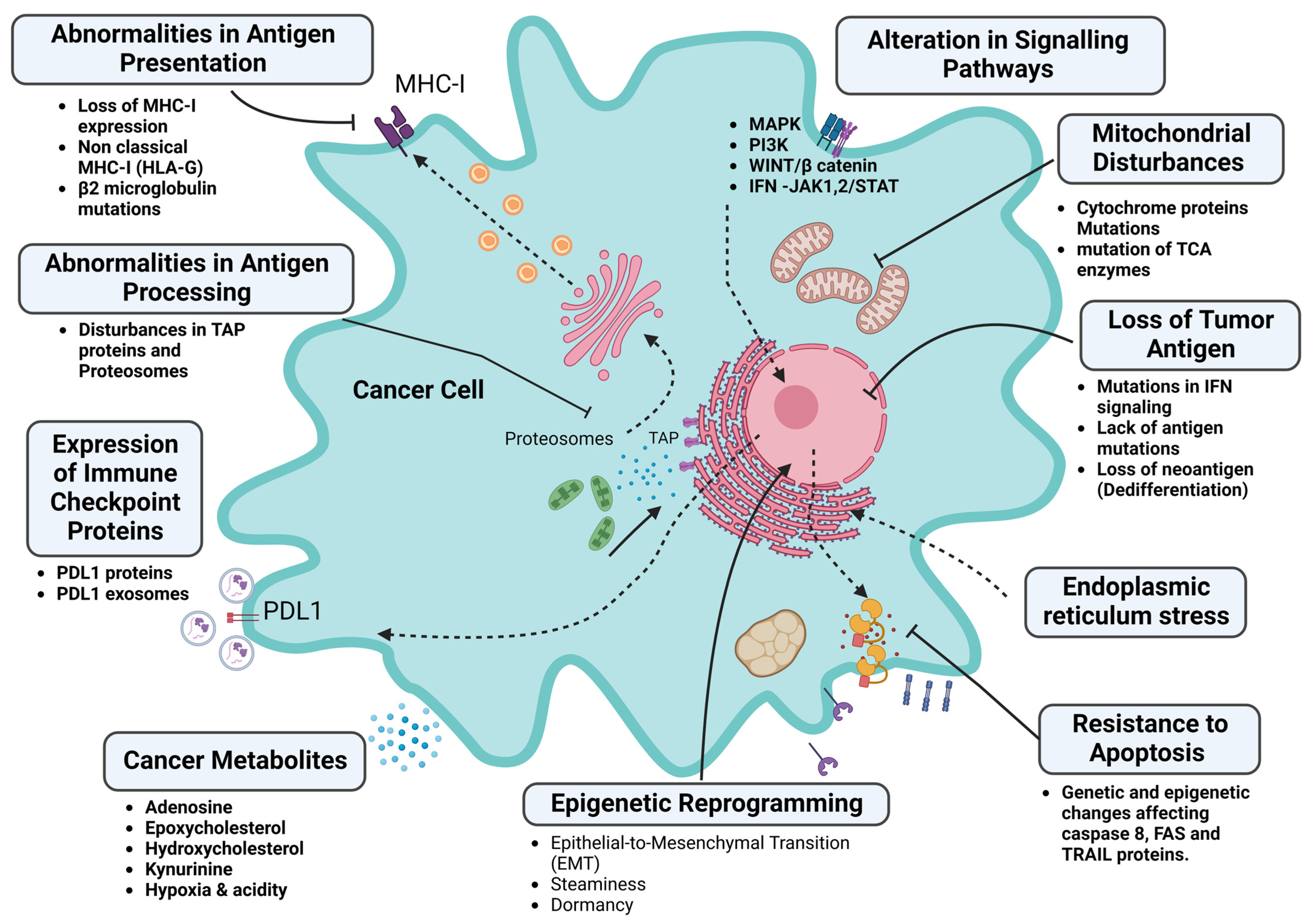 Pharmaceutics 15 01143 g003 Pharmaceutics 15 01143 g003