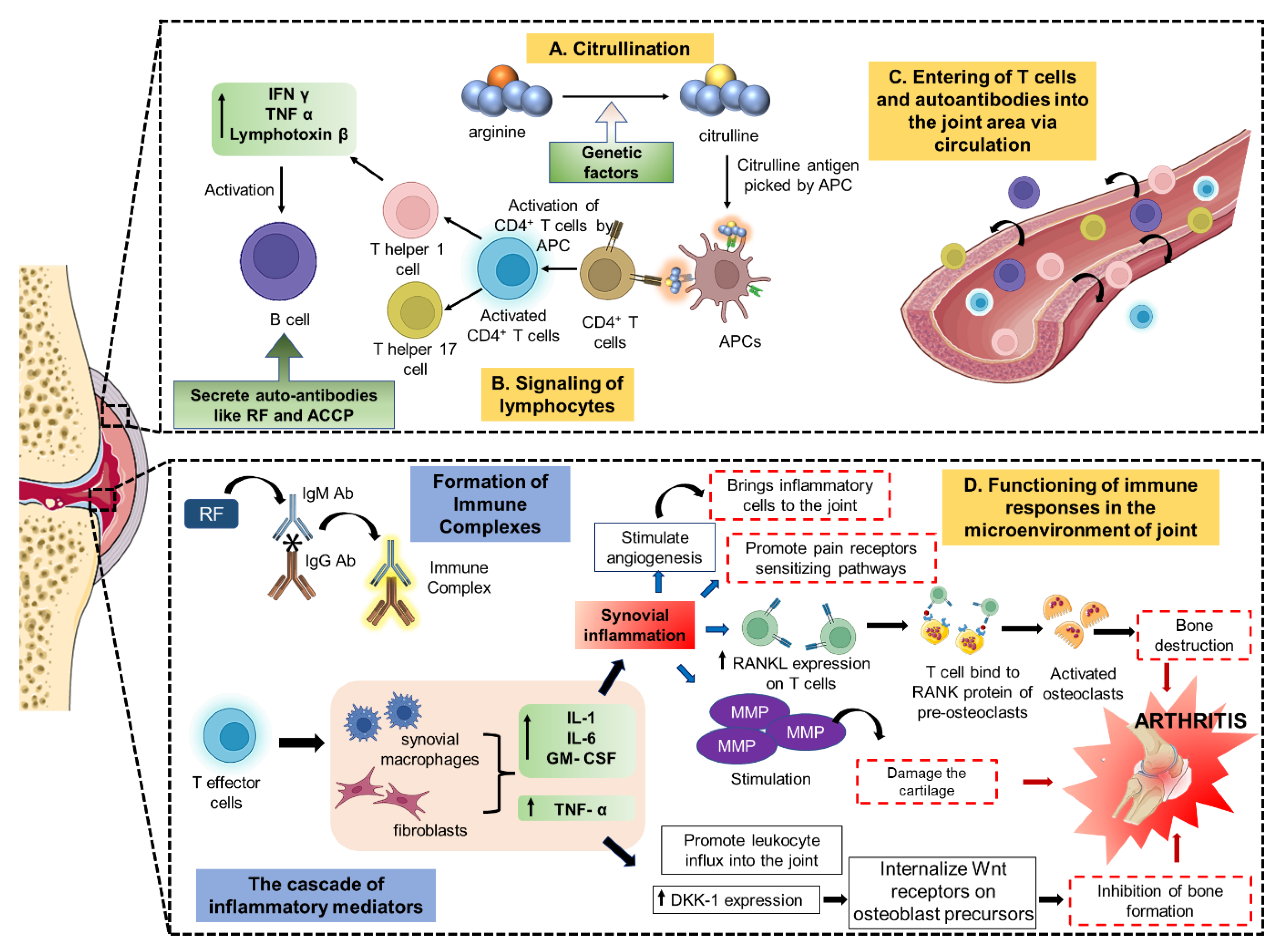 Pharmaceutics 15 01150 g001