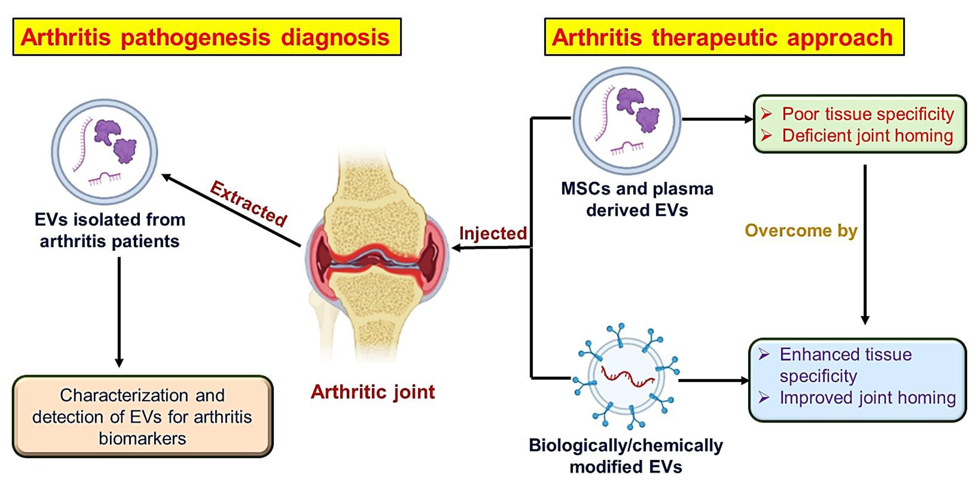 Pharmaceutics 15 01150 g004