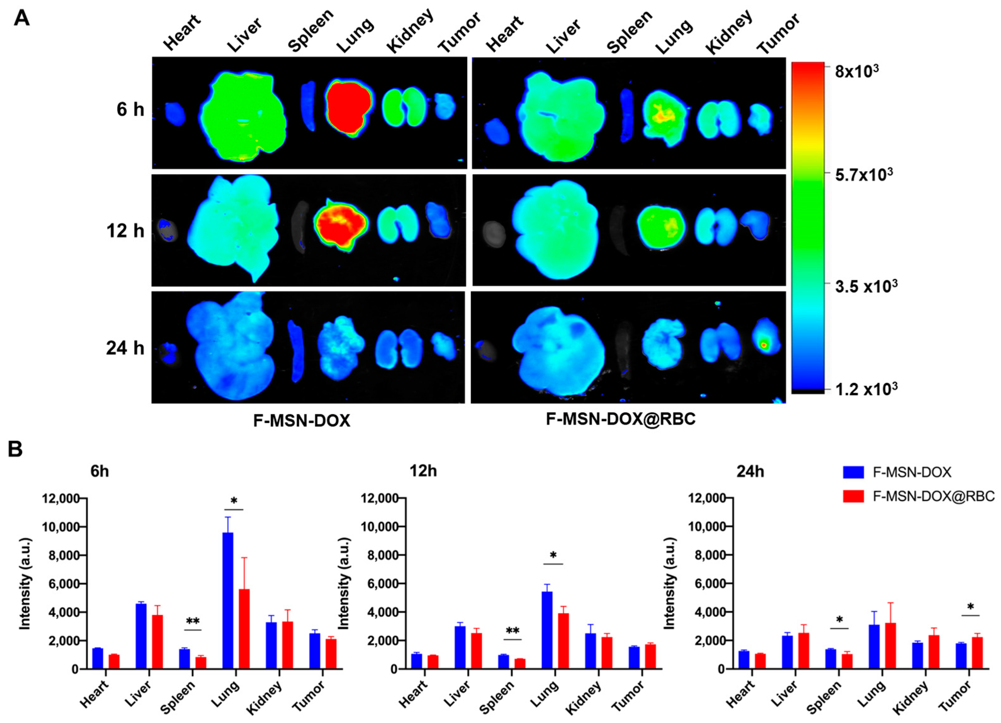 Pharmaceutics 15 01155 g005