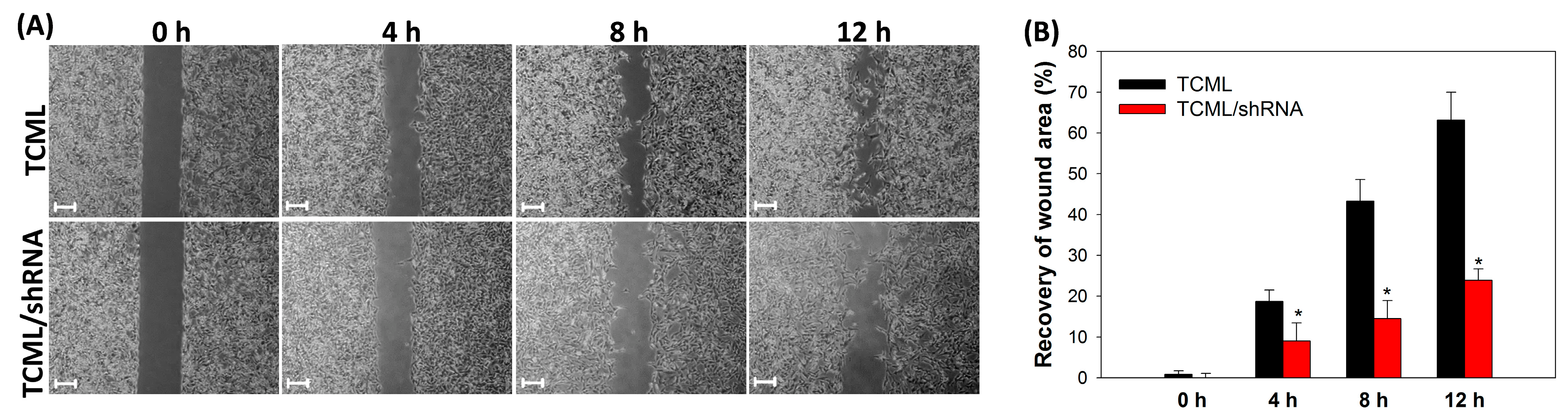 Pharmaceutics 15 01169 g007