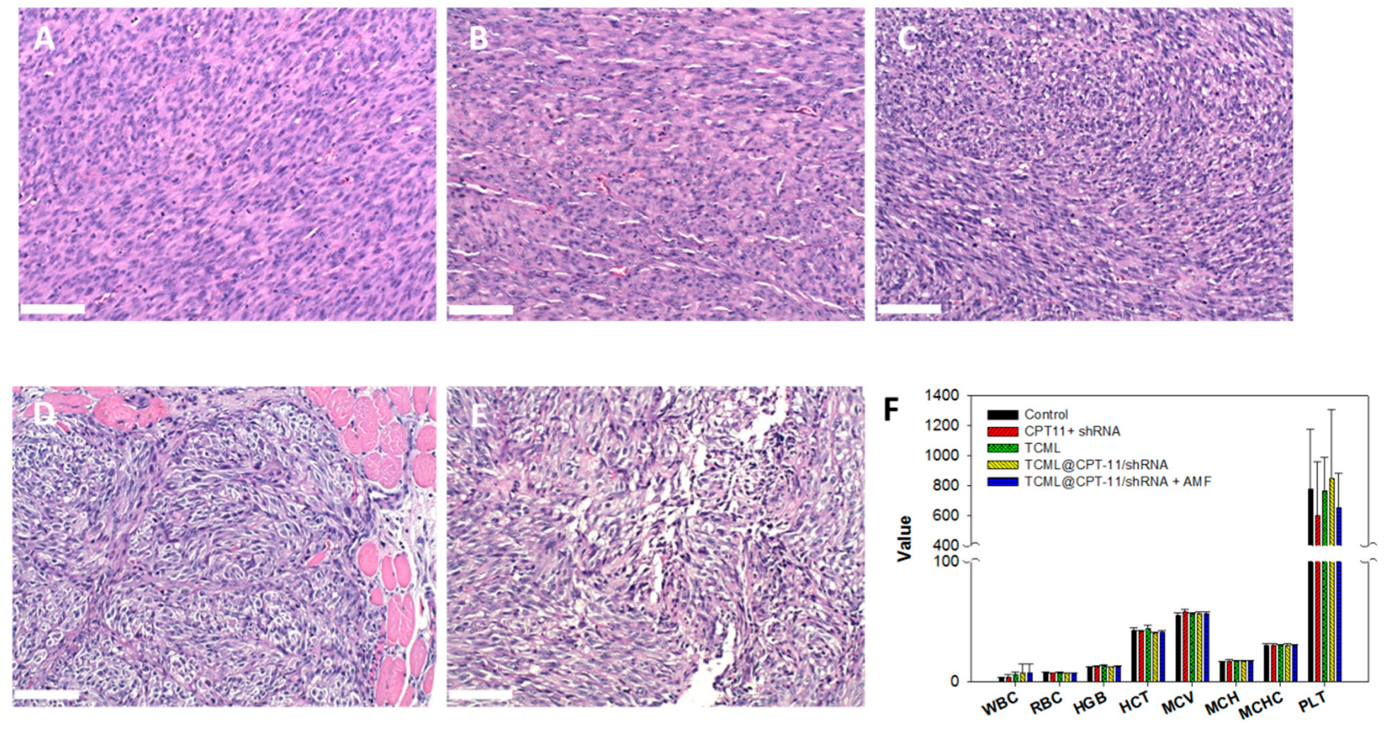 Pharmaceutics 15 01169 g012