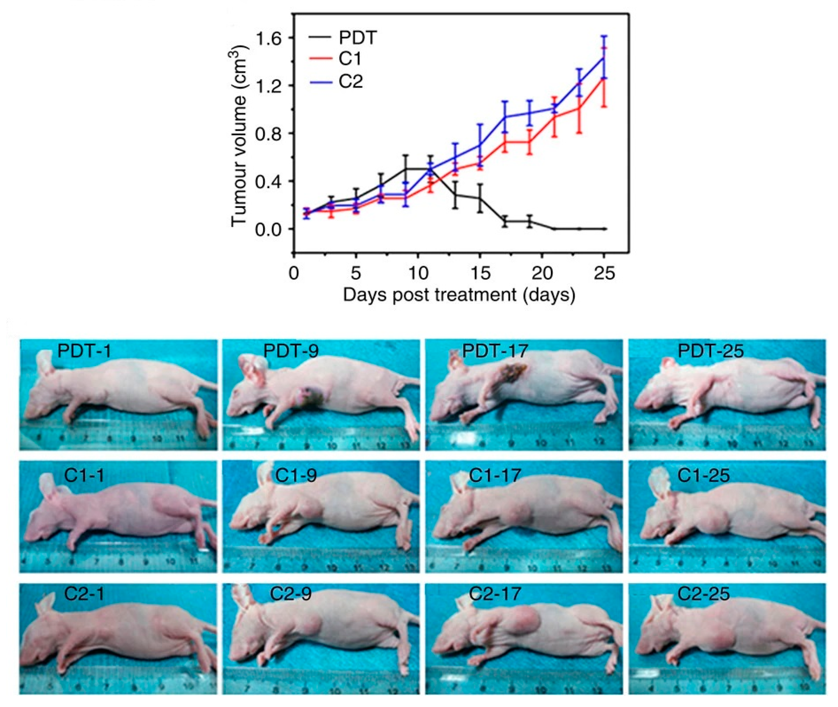 Pharmaceutics 15 01170 g009