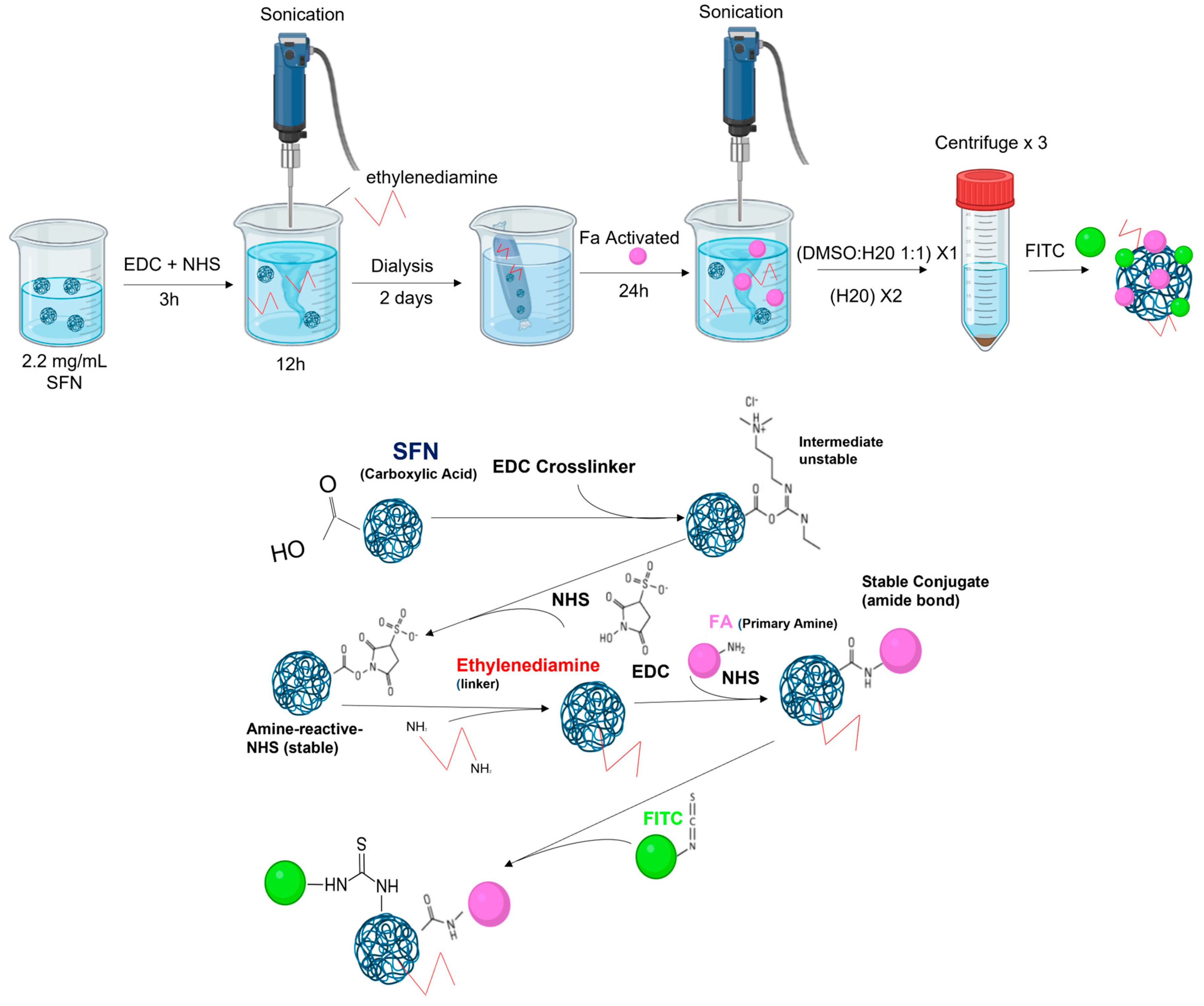 Pharmaceutics 15 01186 g003 Pharmaceutics 15 01186 g003