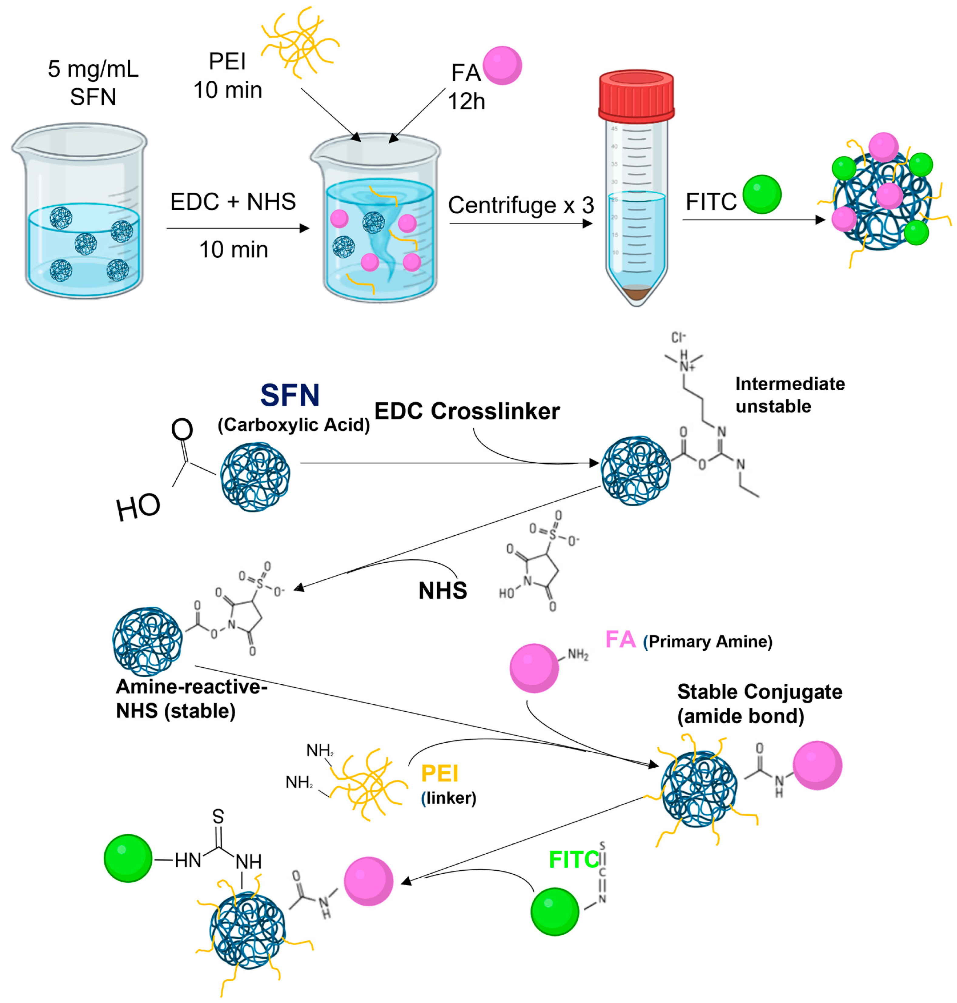 Pharmaceutics 15 01186 g005 Pharmaceutics 15 01186 g005