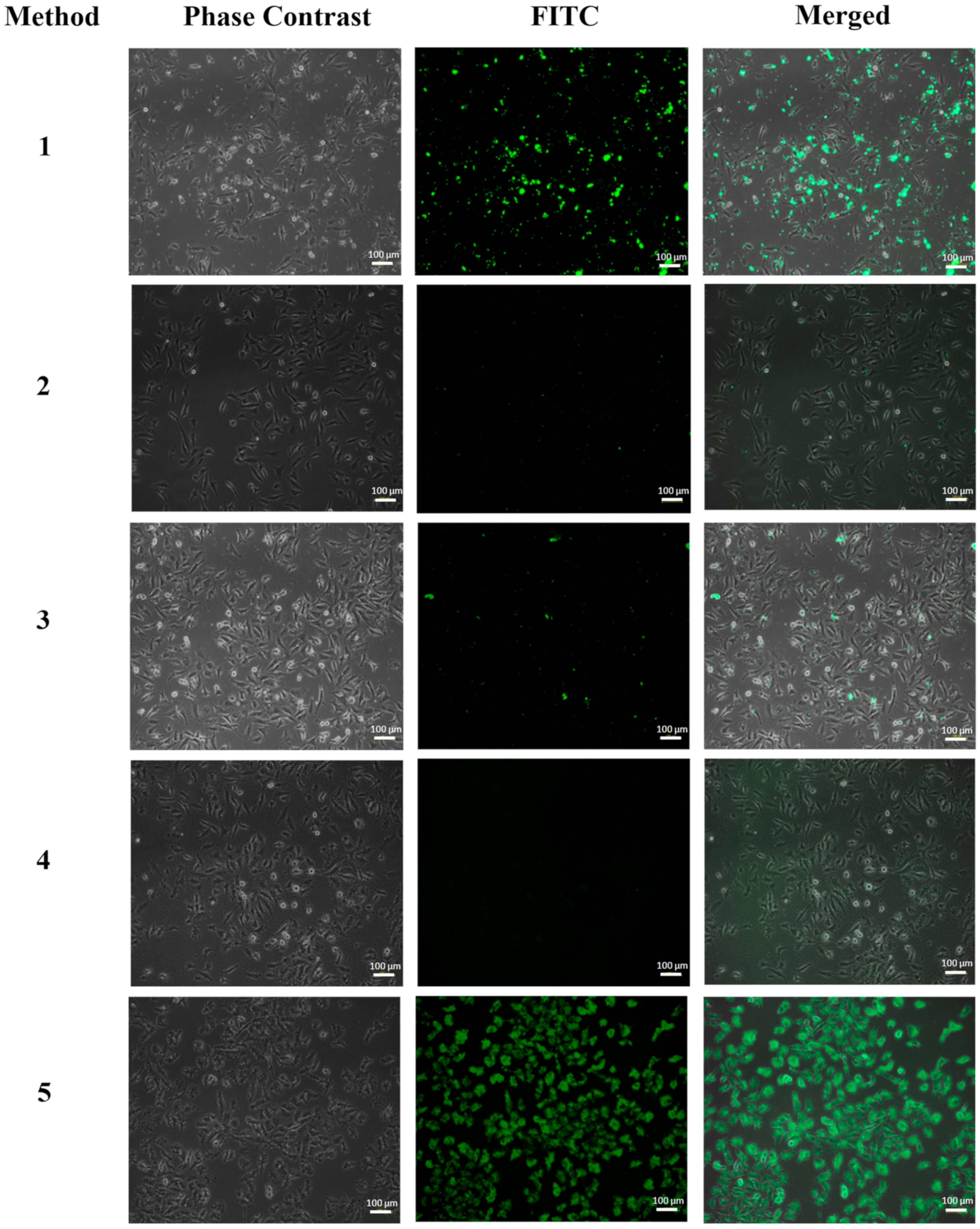 Pharmaceutics 15 01186 g007 Pharmaceutics 15 01186 g007