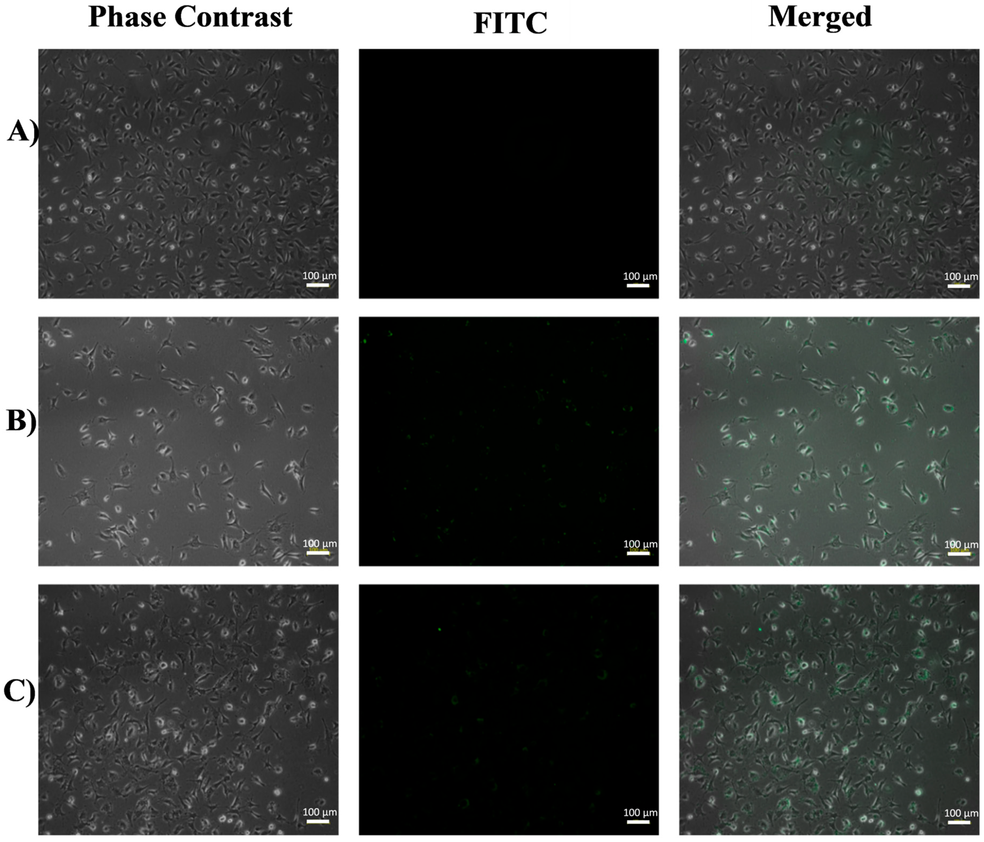 Pharmaceutics 15 01186 g010 Pharmaceutics 15 01186 g010