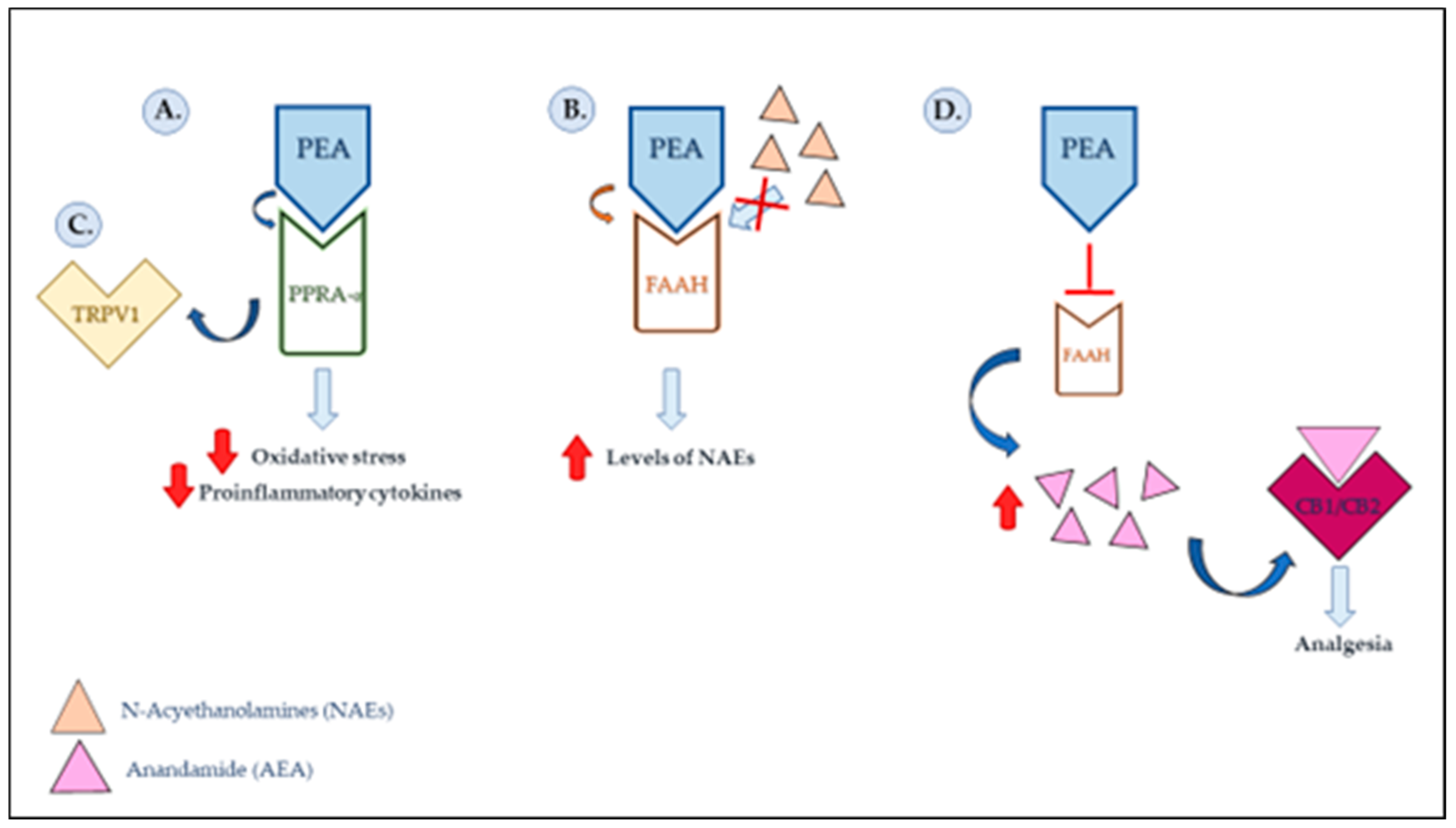 Pharmaceutics 15 01193 g001 Pharmaceutics 15 01193 g001