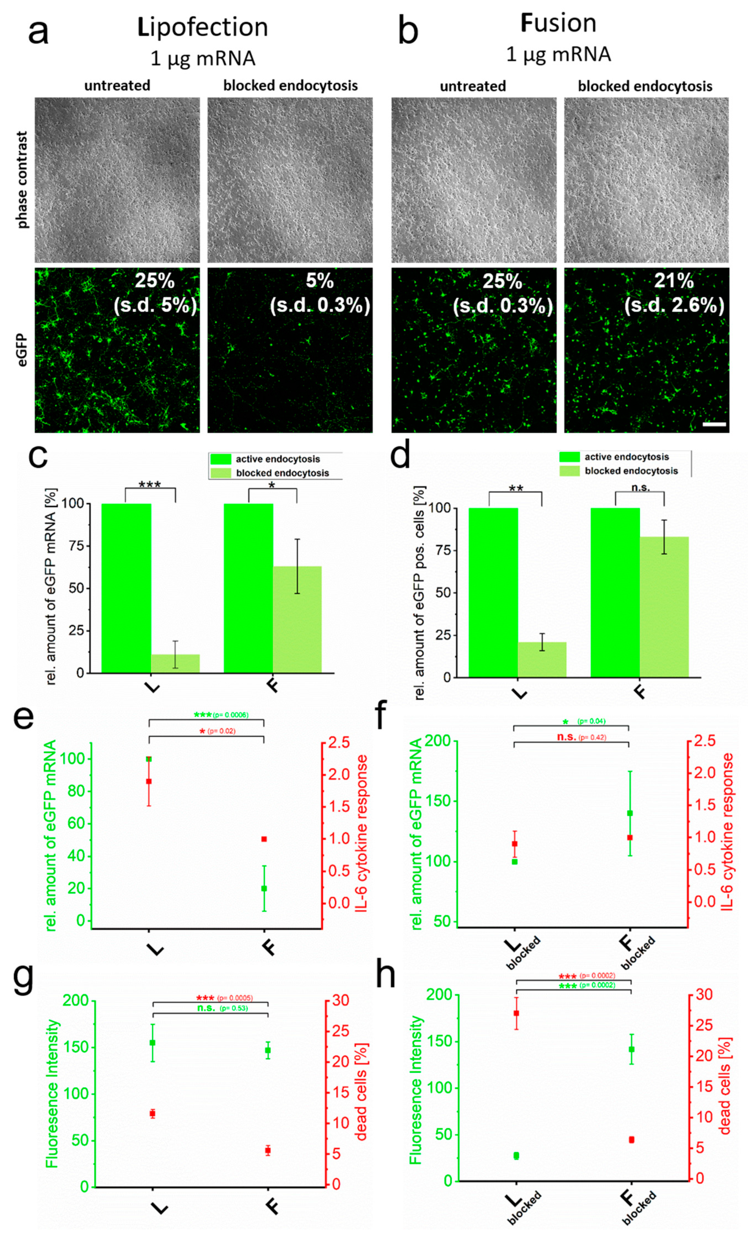 Pharmaceutics 15 01210 g002 Pharmaceutics 15 01210 g002