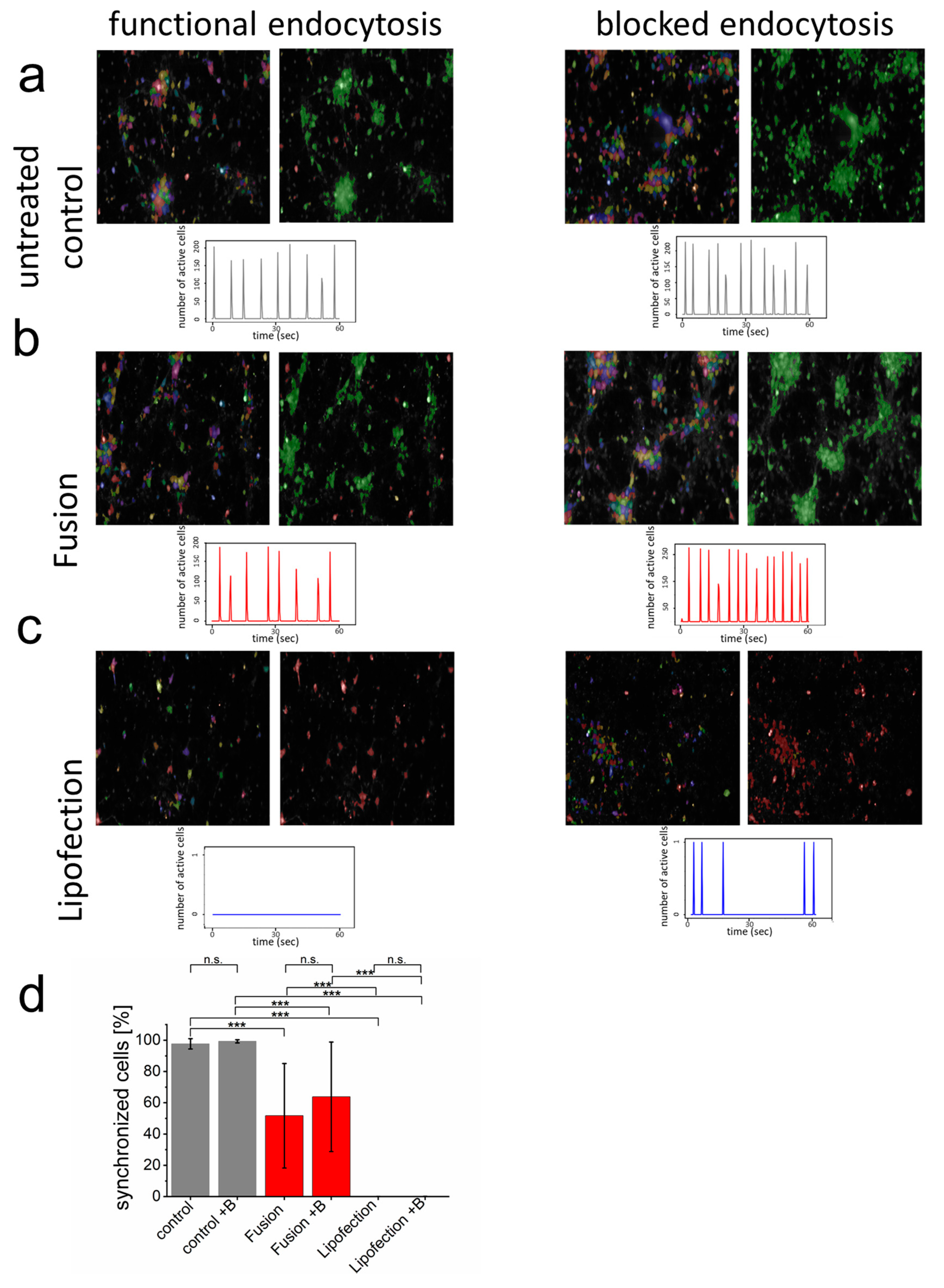 Pharmaceutics 15 01210 g003 Pharmaceutics 15 01210 g003