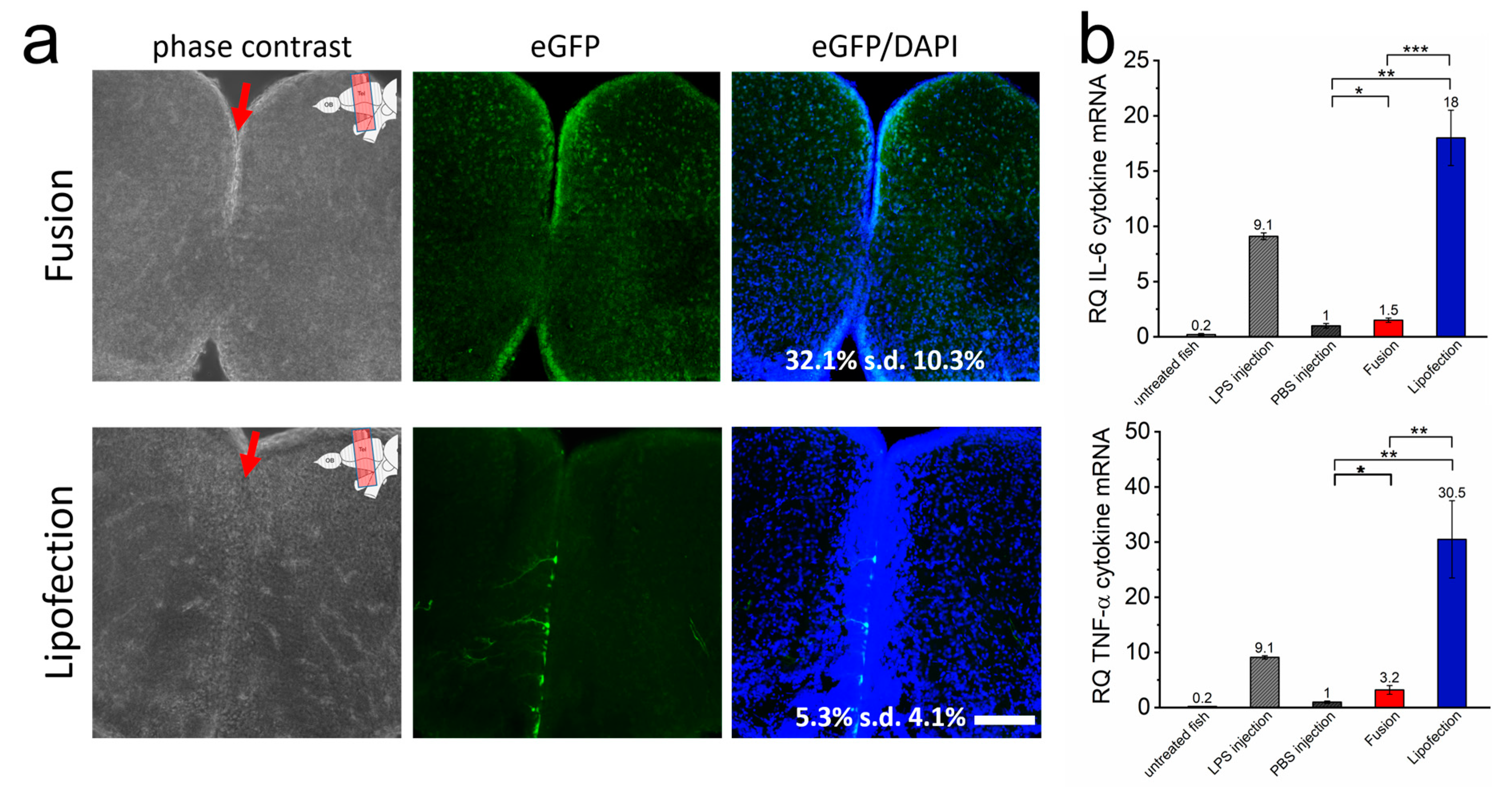 Pharmaceutics 15 01210 g004 Pharmaceutics 15 01210 g004