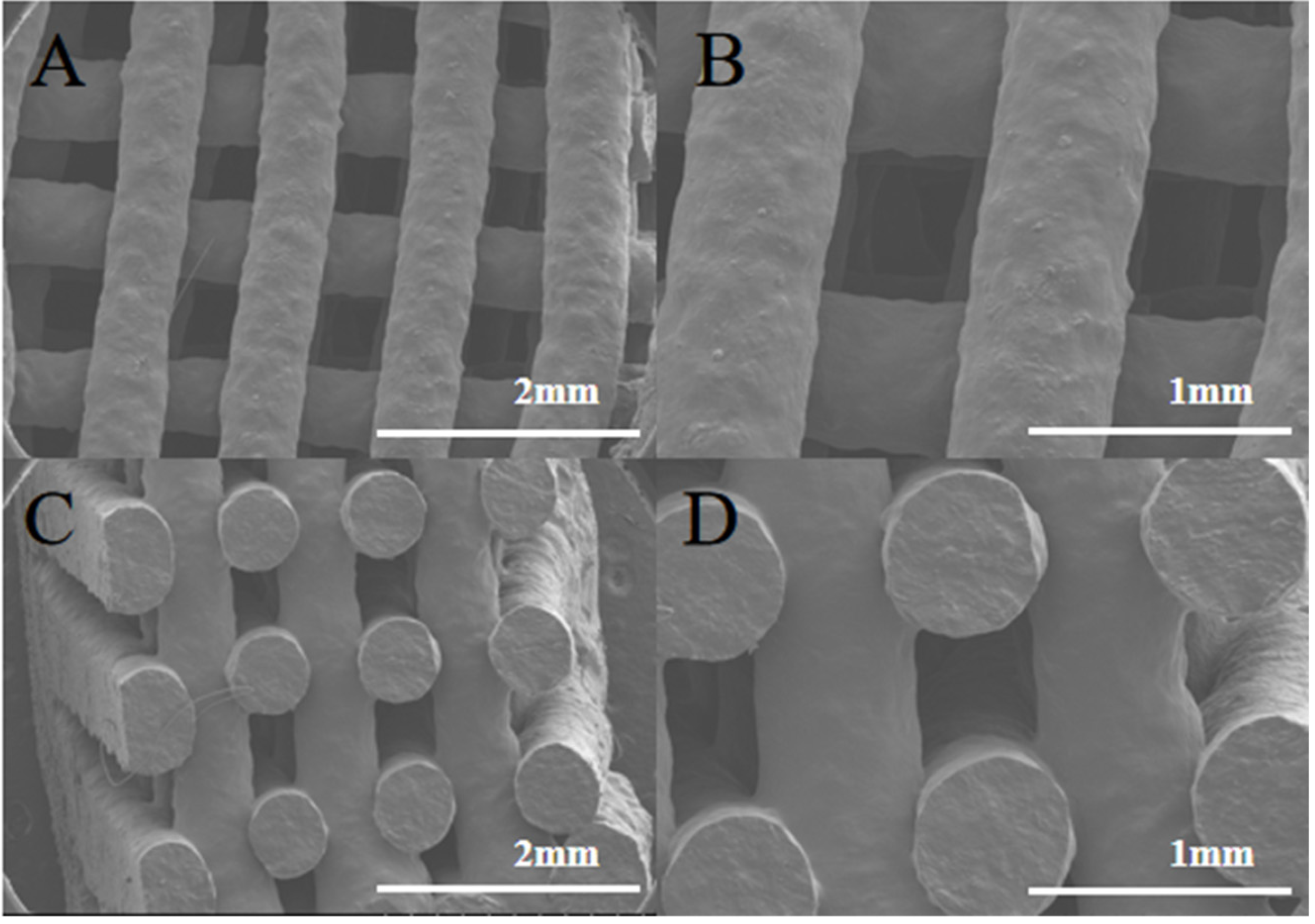Pharmaceutics 15 01218 g006