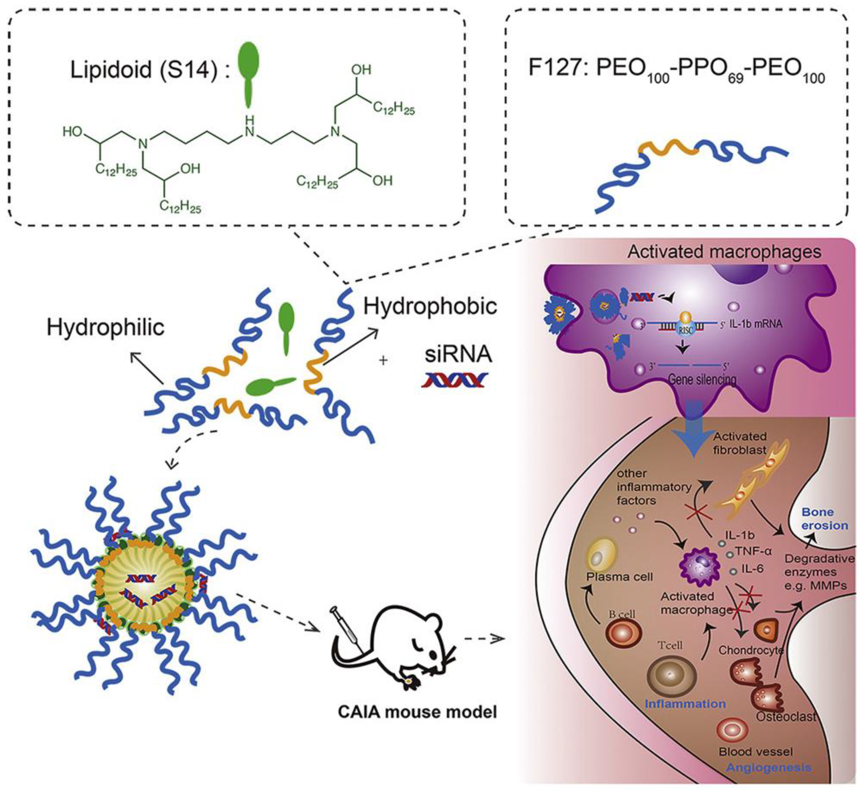 Pharmaceutics 15 01237 g001 Pharmaceutics 15 01237 g001