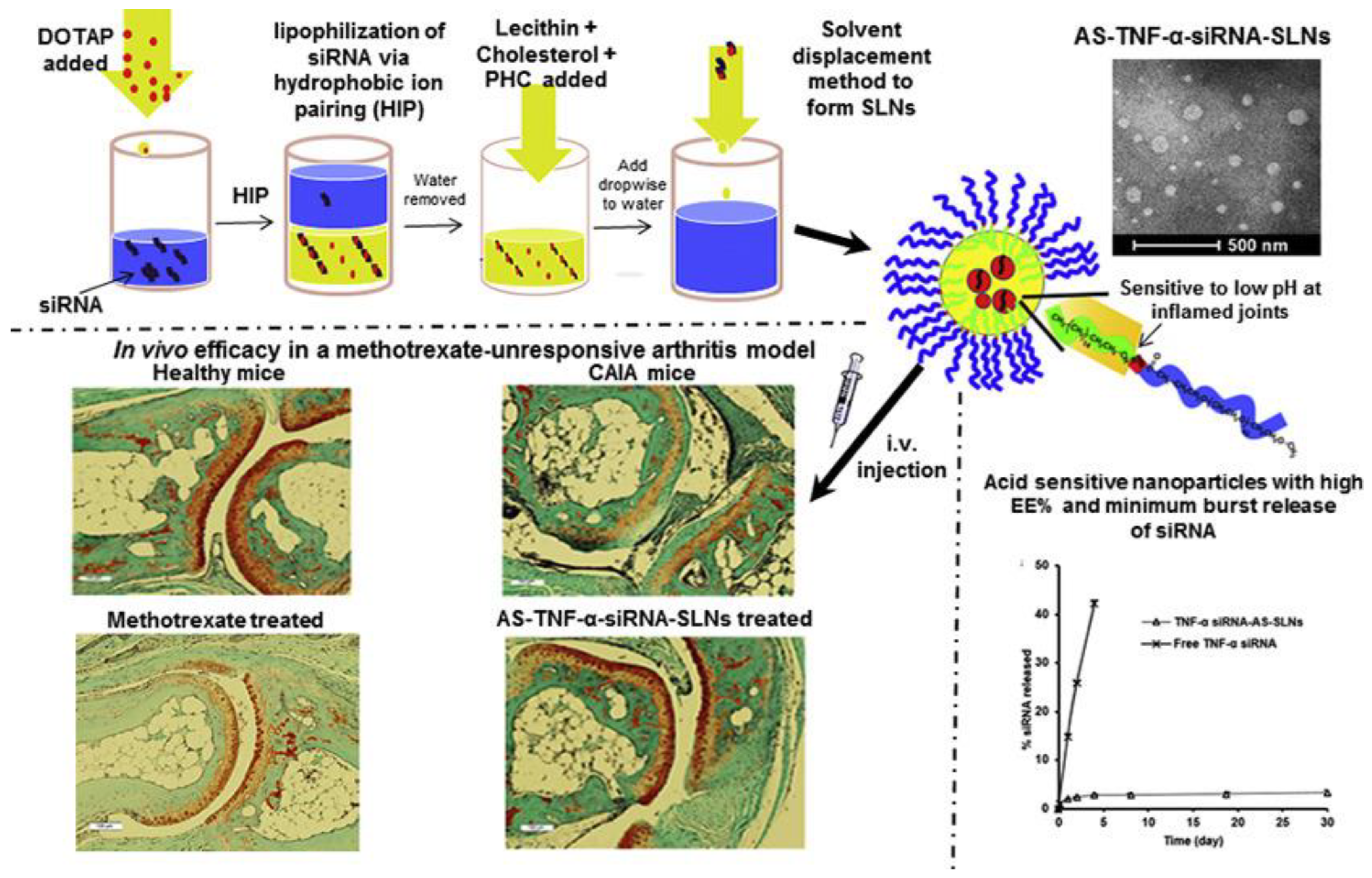 Pharmaceutics 15 01237 g006 Pharmaceutics 15 01237 g006