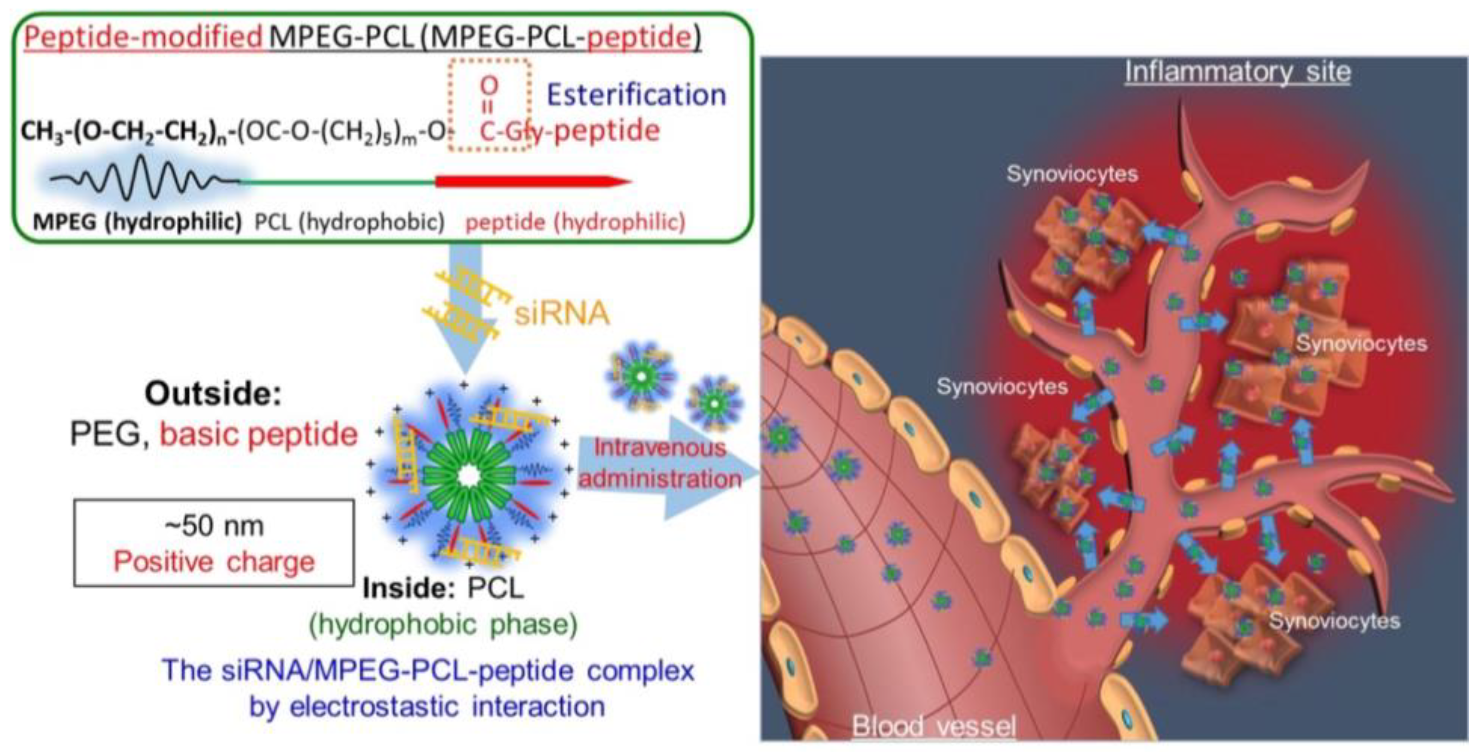 Pharmaceutics 15 01237 g008 Pharmaceutics 15 01237 g008