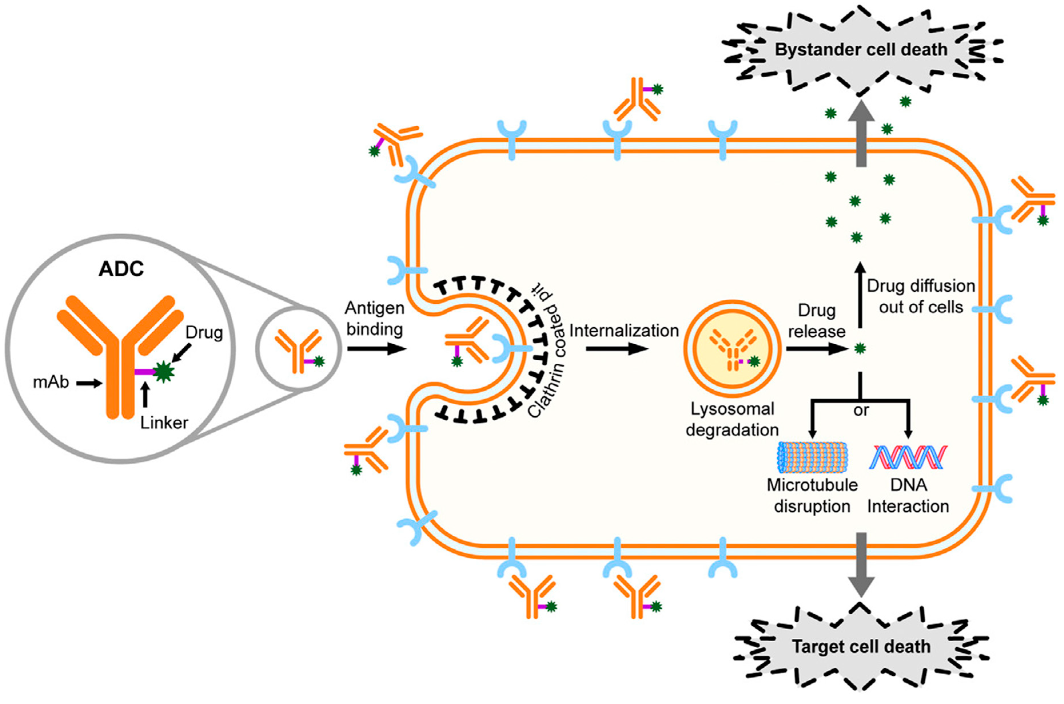 Pharmaceutics 15 01242 g001 Pharmaceutics 15 01242 g001
