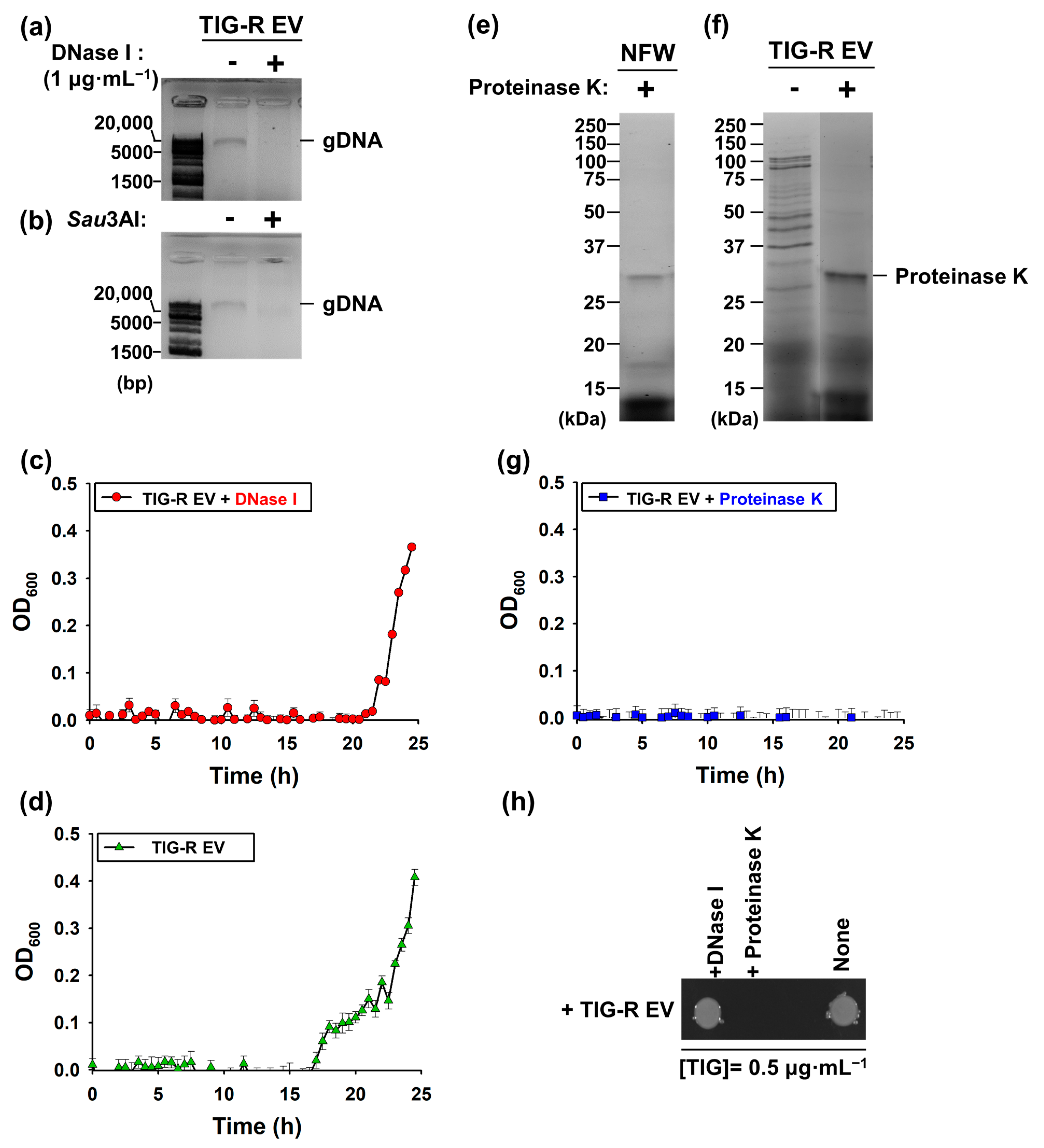 Pharmaceutics 15 01251 g003