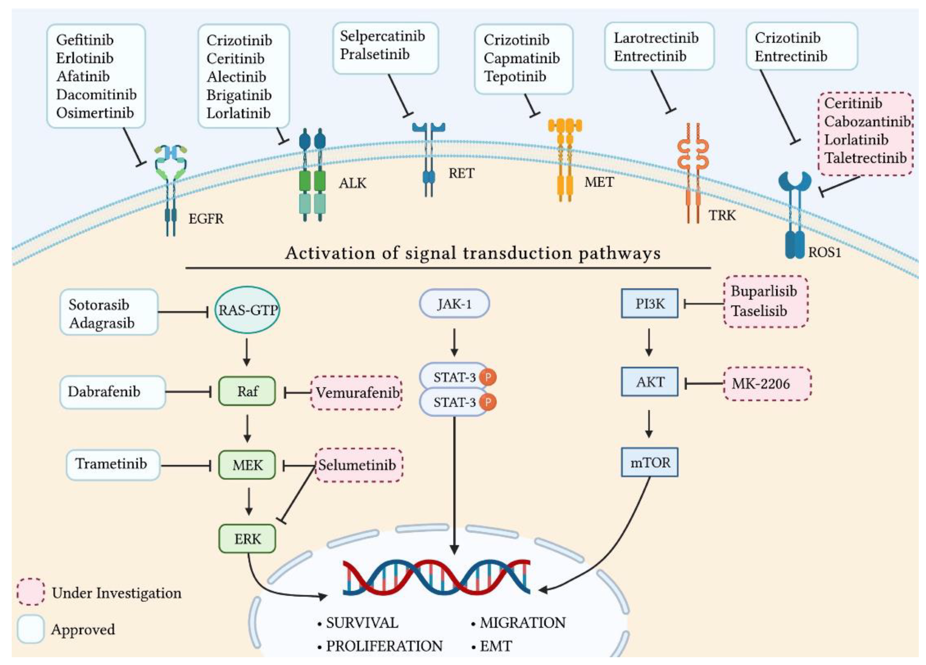 Pharmaceutics 15 01252 g001 Pharmaceutics 15 01252 g001