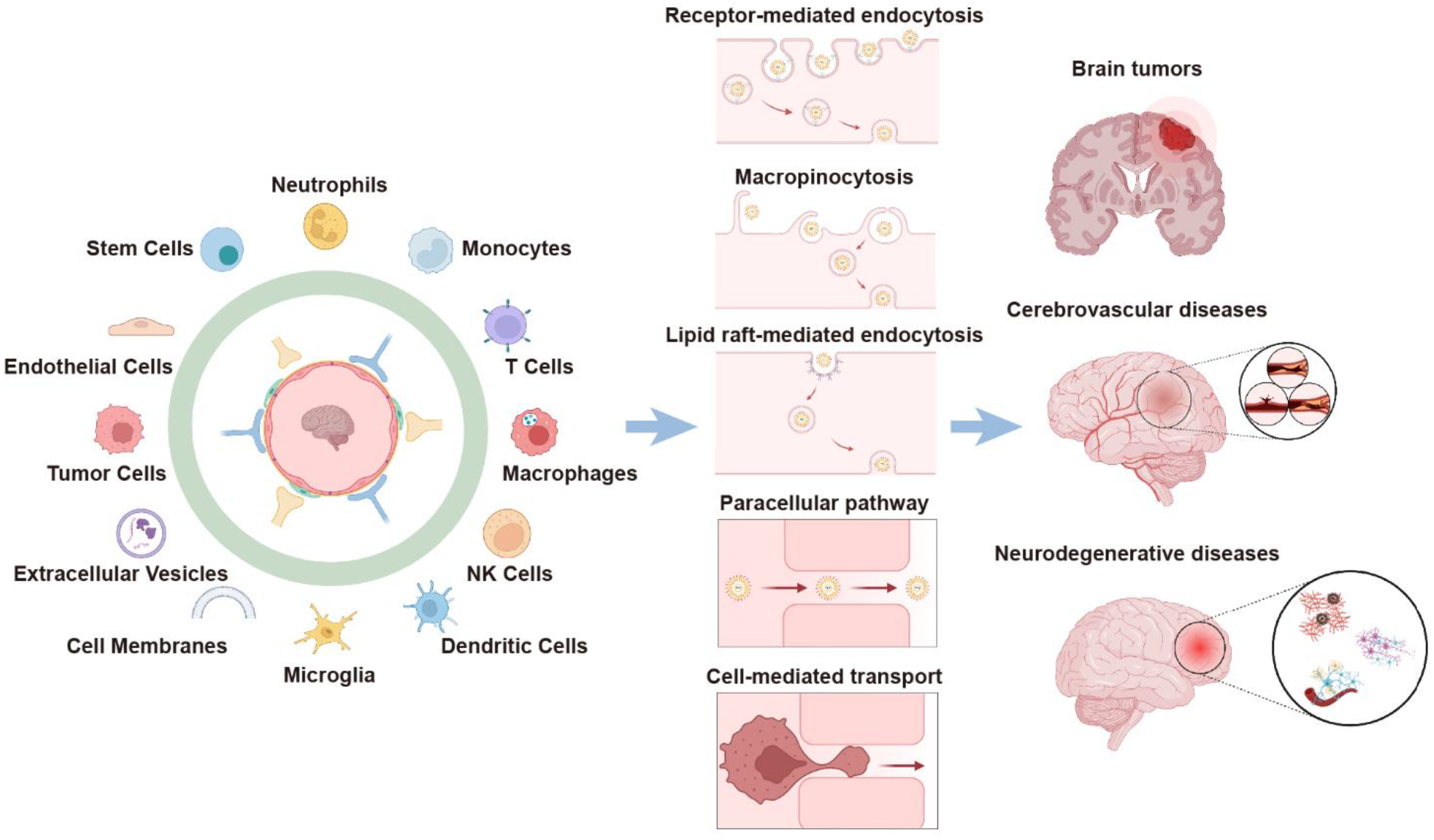 Pharmaceutics 15 01257 g001