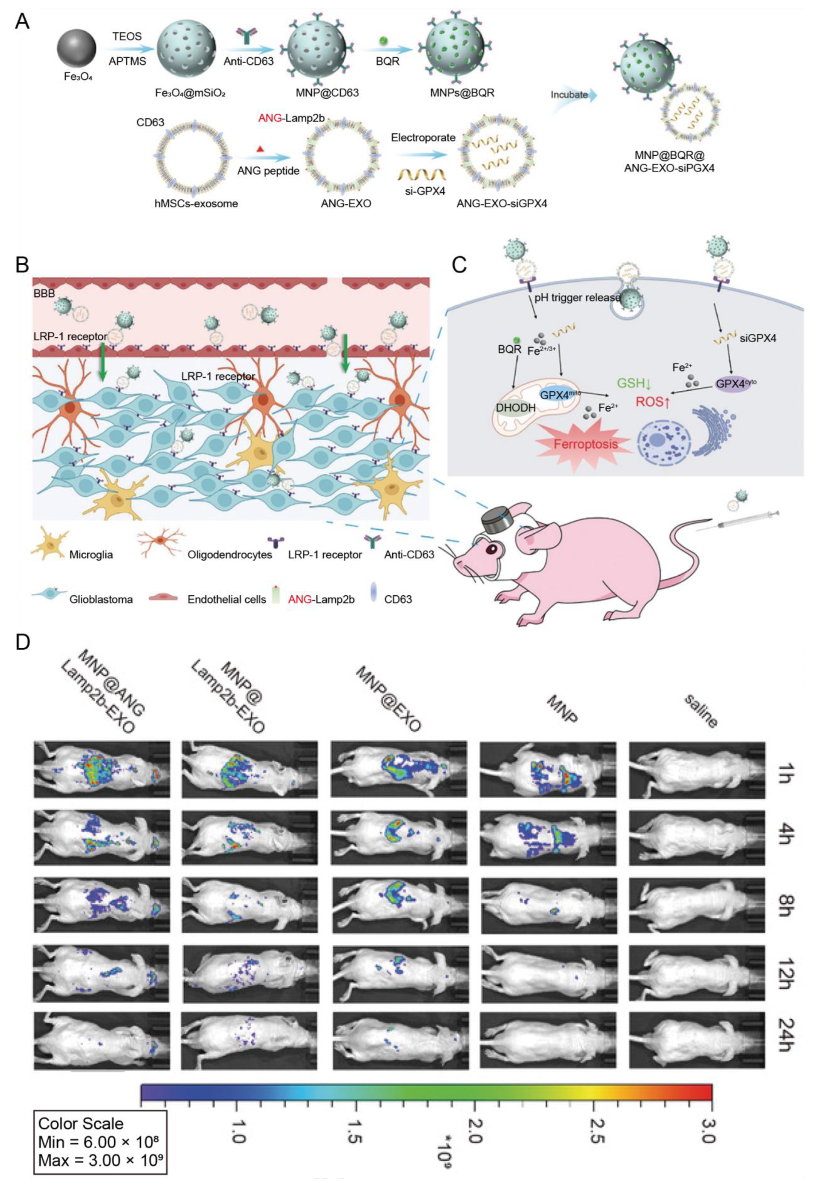 Pharmaceutics 15 01257 g005