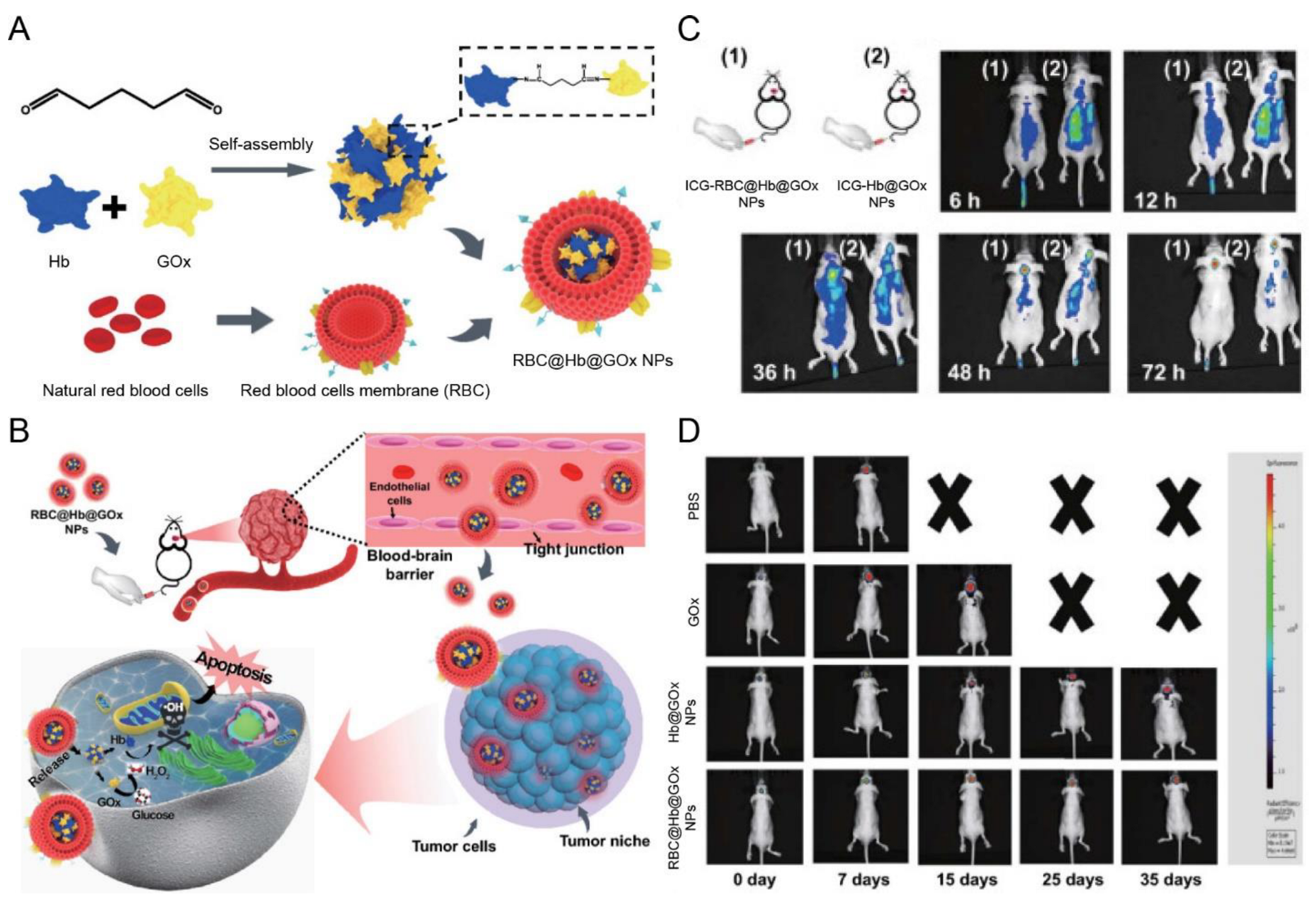 Pharmaceutics 15 01257 g008