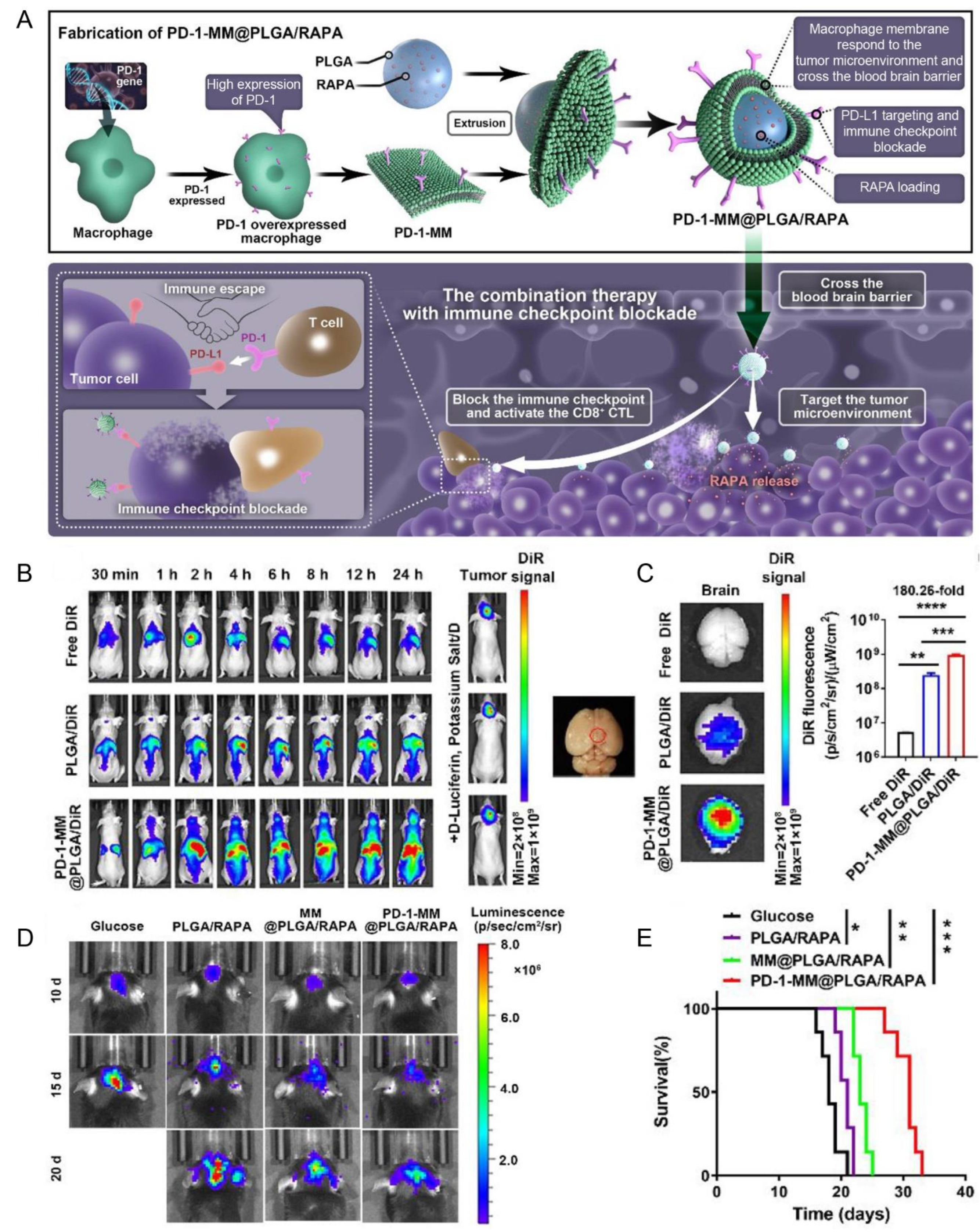 Pharmaceutics 15 01257 g010