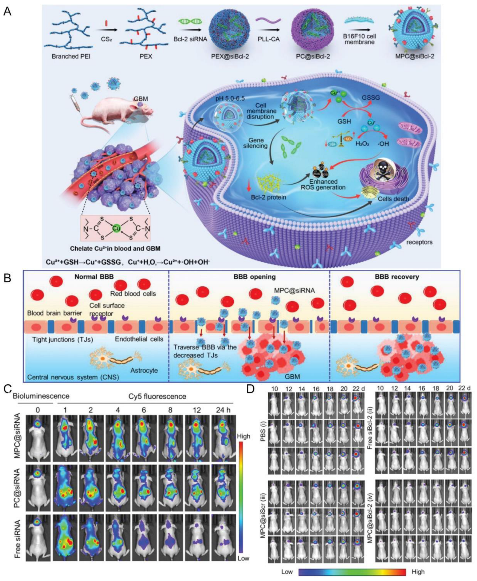Pharmaceutics 15 01257 g011